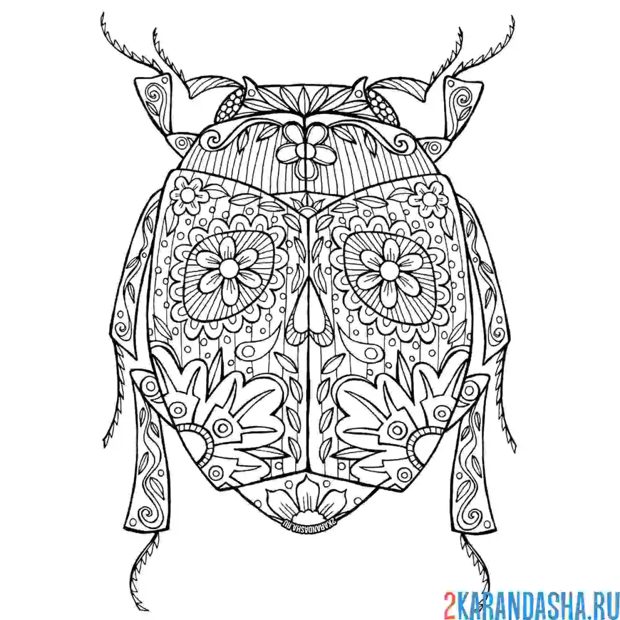 Раскраска жук узоры