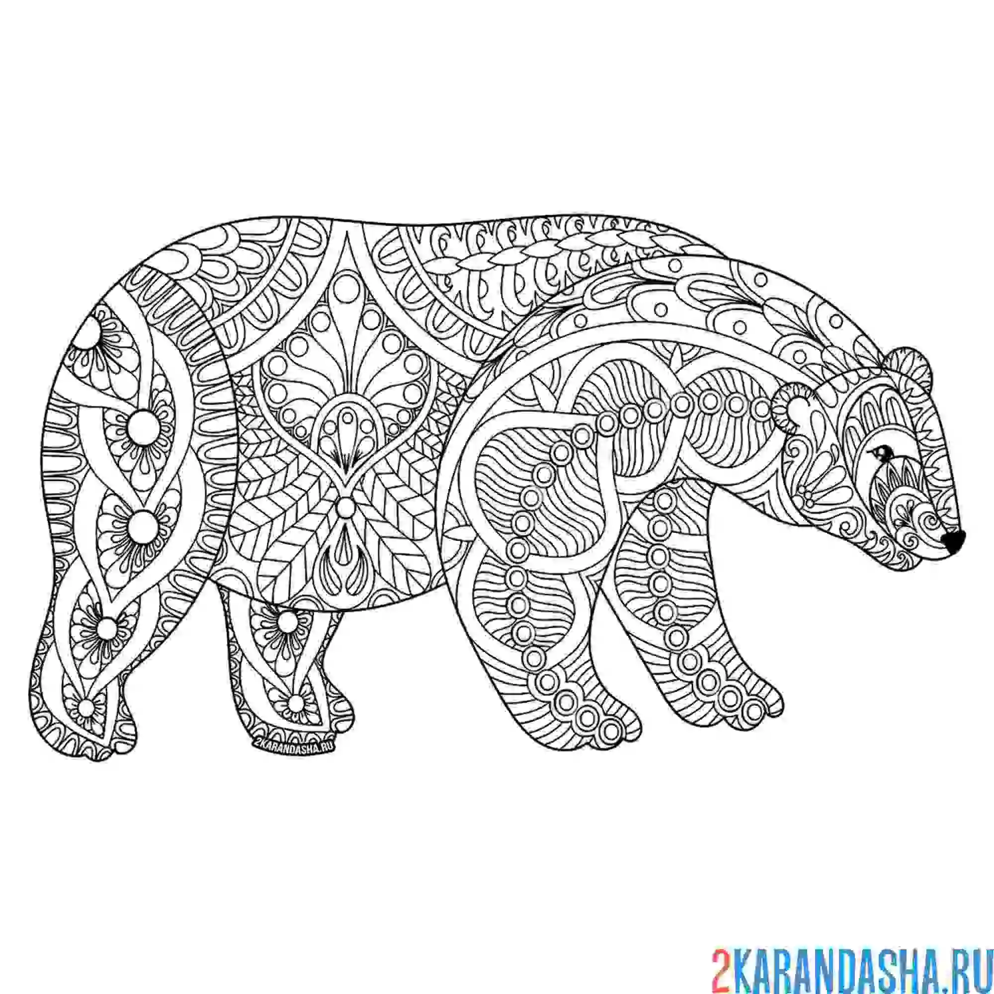 Раскраска медведь