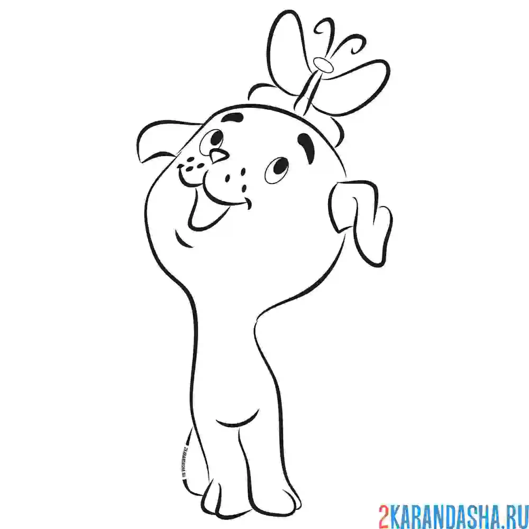 Раскраска щенок шарик с бабочкой из 