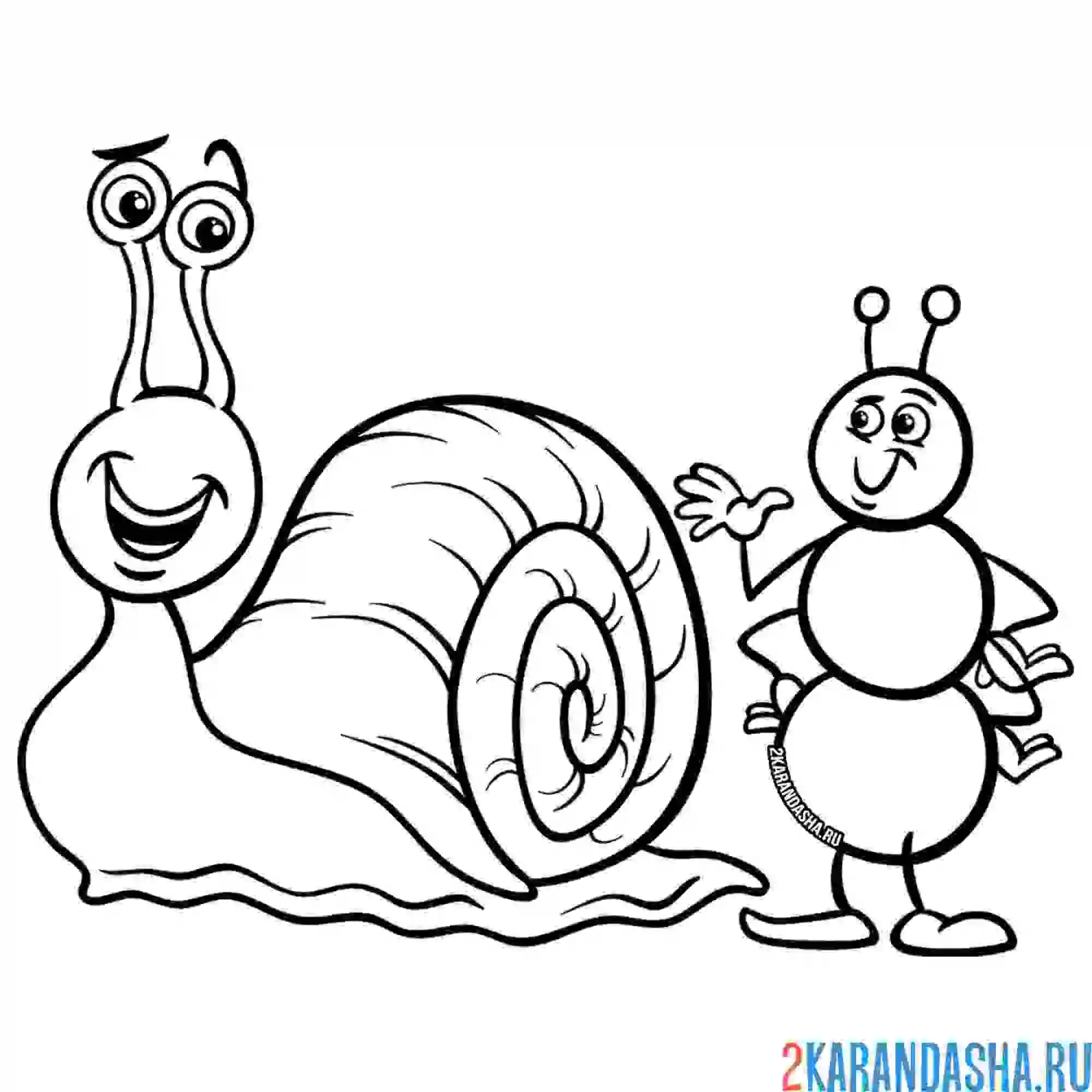 Раскраска муравей и улитка