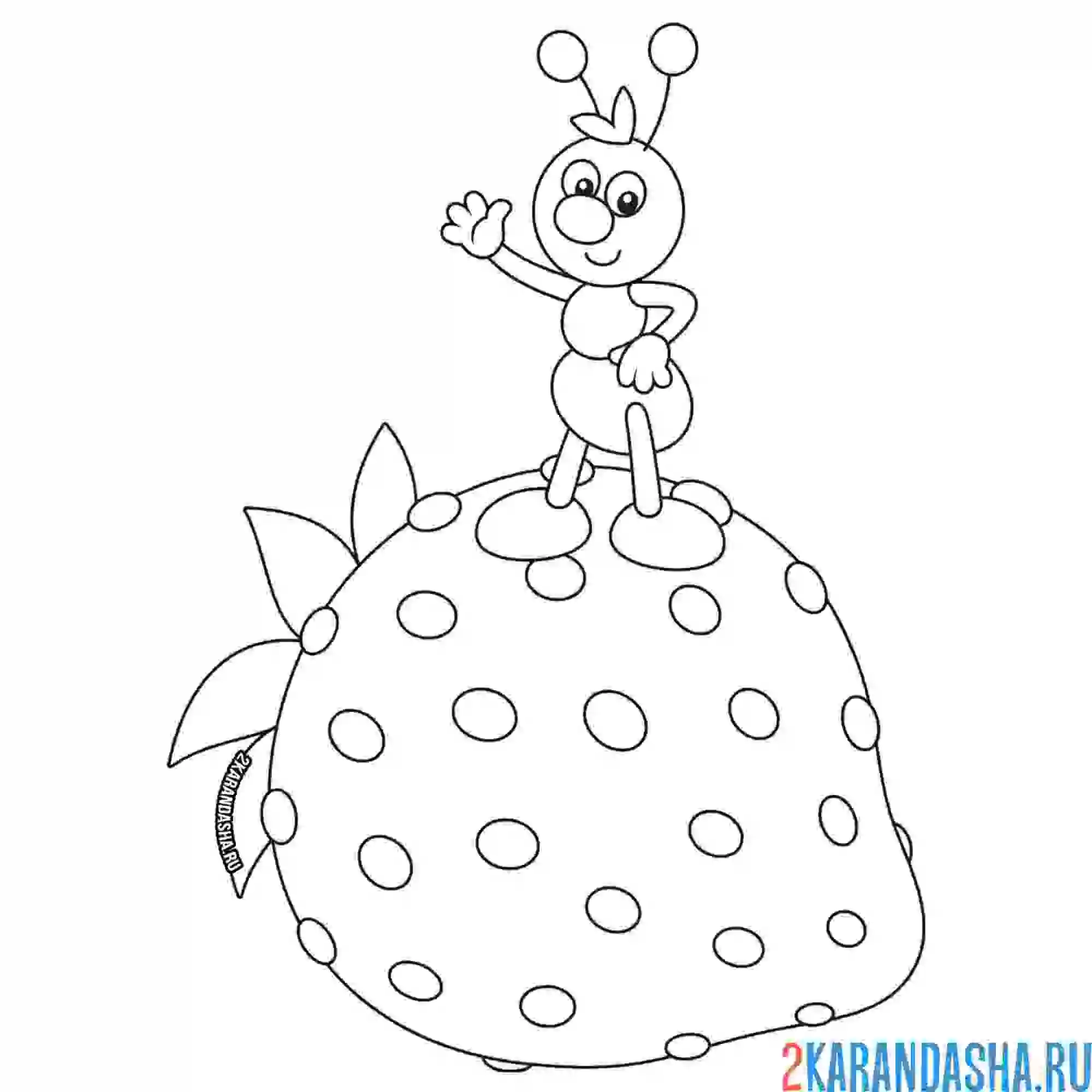 Раскраска муравей на клубнике
