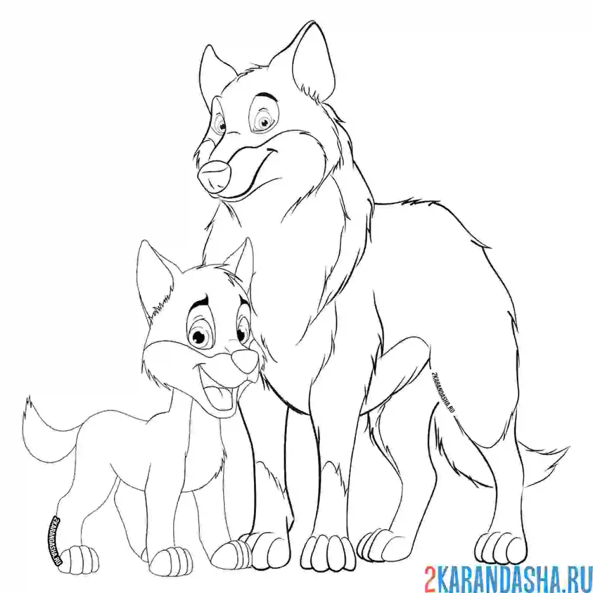 Раскраска волк и маленький волчонок