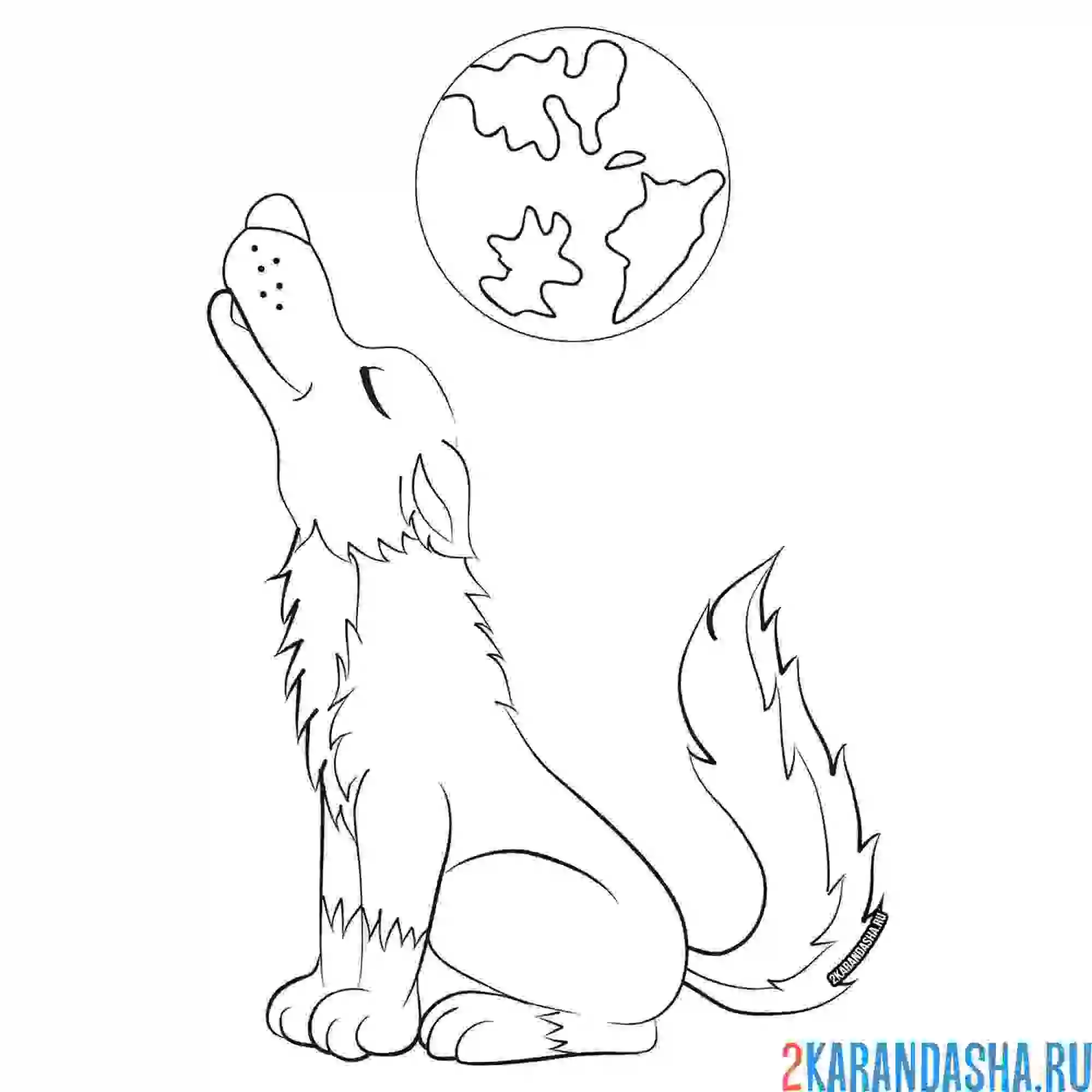 Раскраска волк воет на луну