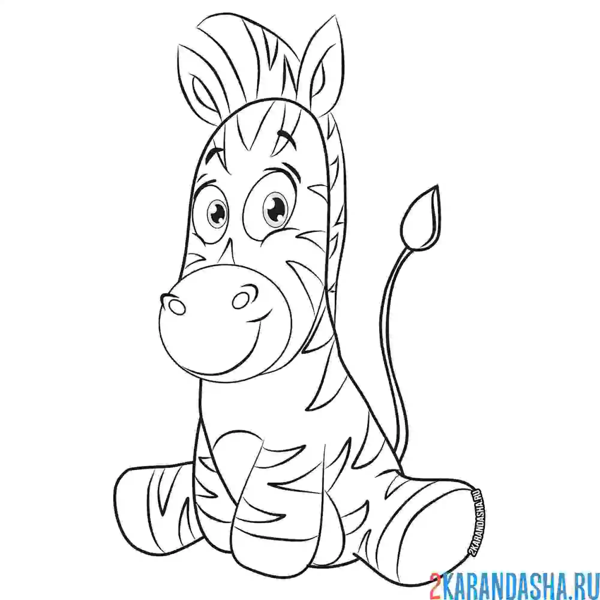 Раскраска милая зебра