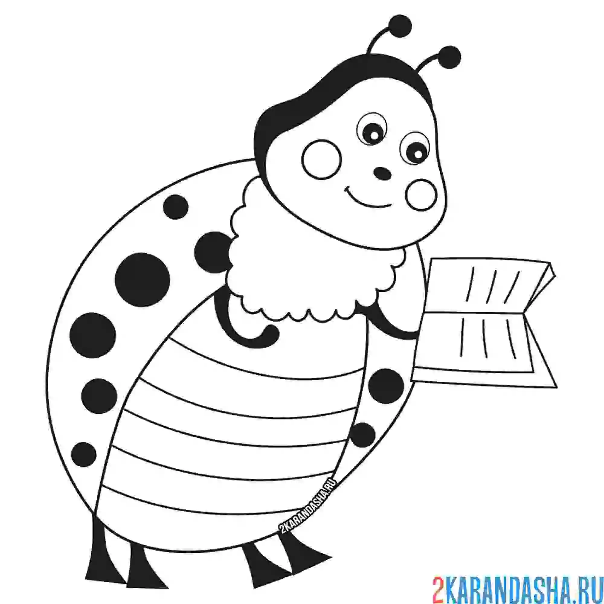 Раскраска божья коровка читает книжку