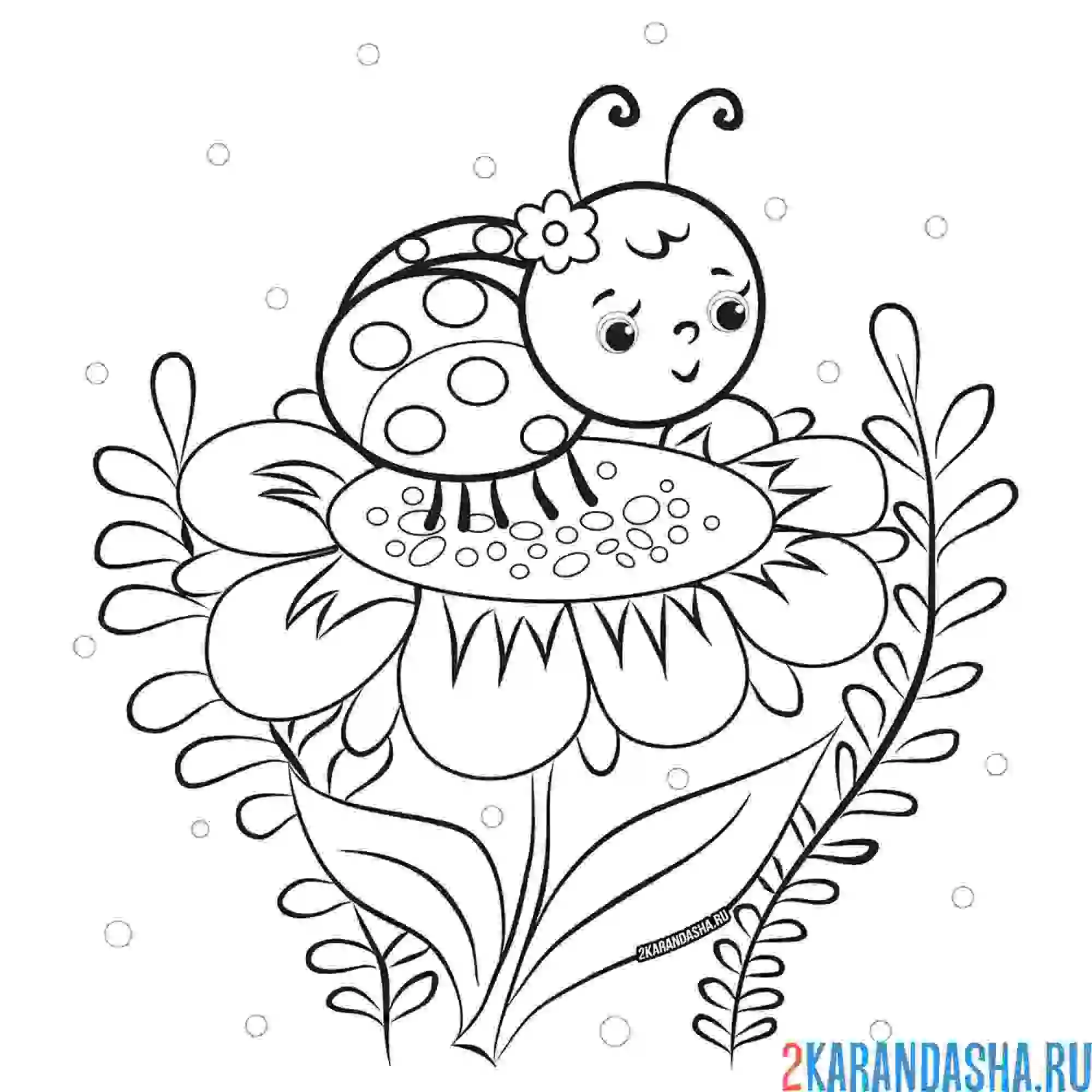 Раскраска божья коровка на цветочке