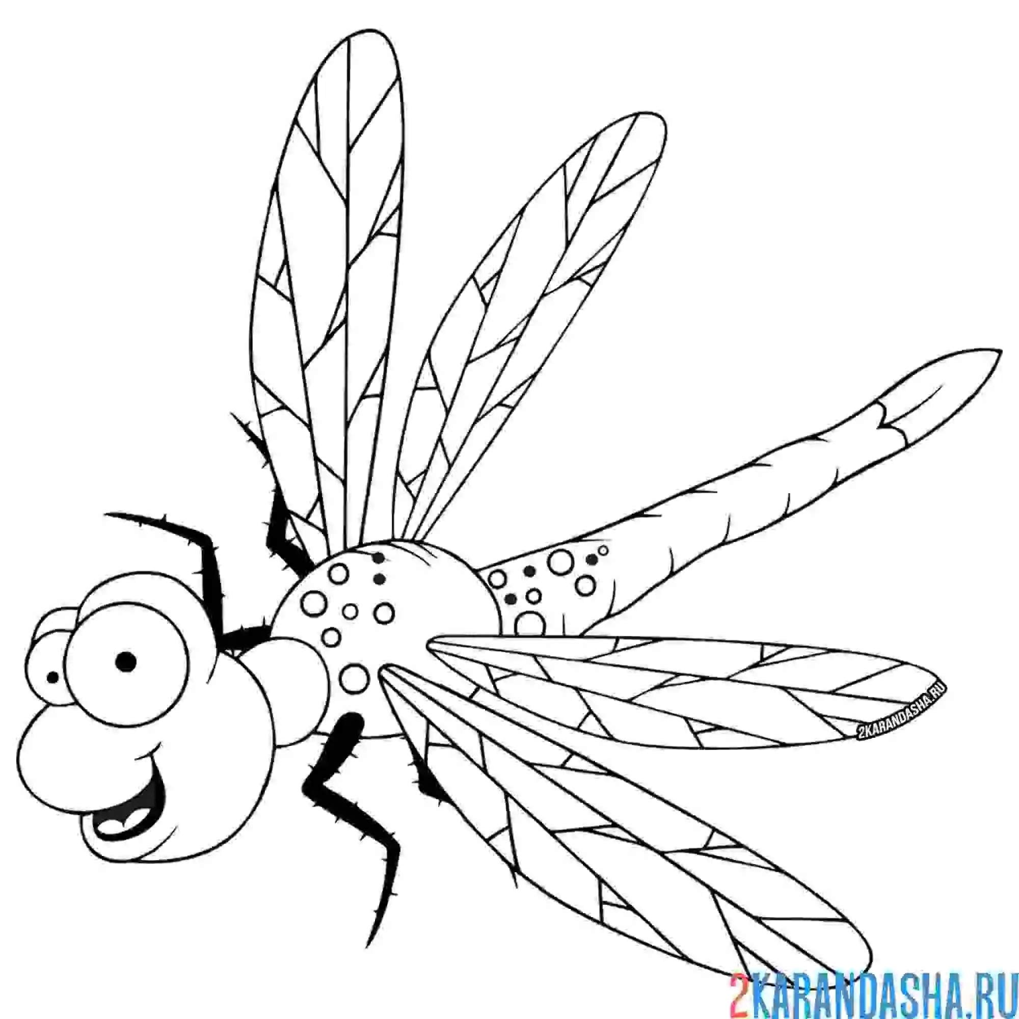 Раскраска забавная стрекоза