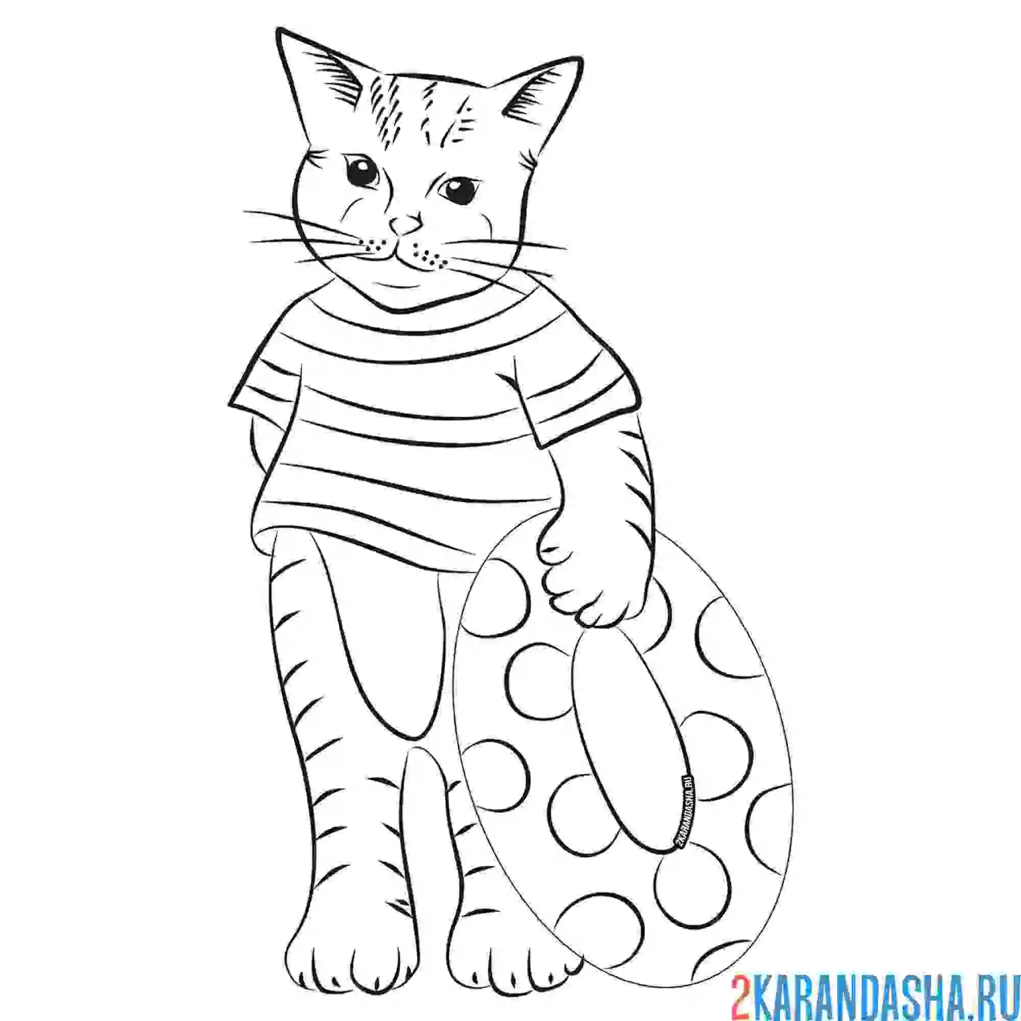 Раскраска кот в матроске