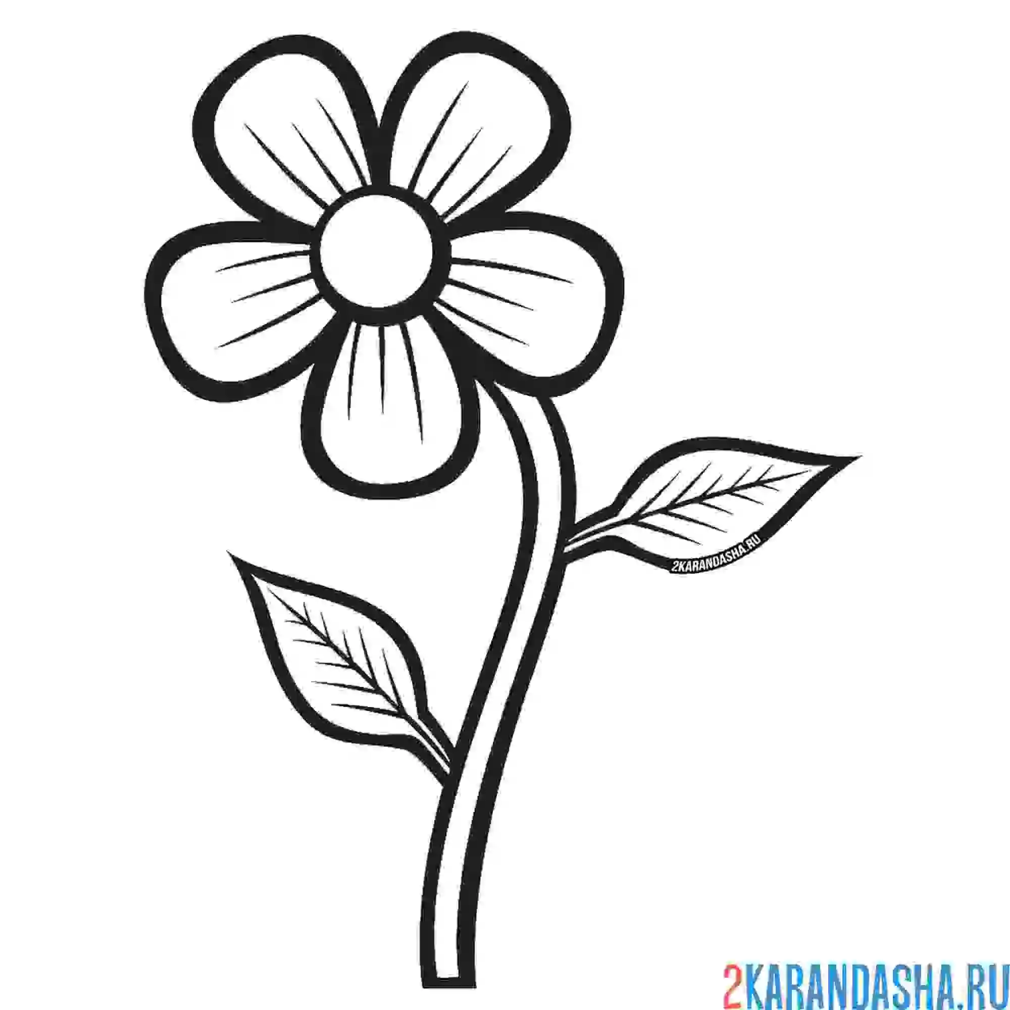 Раскраска цветочек ромашка простой рисунок