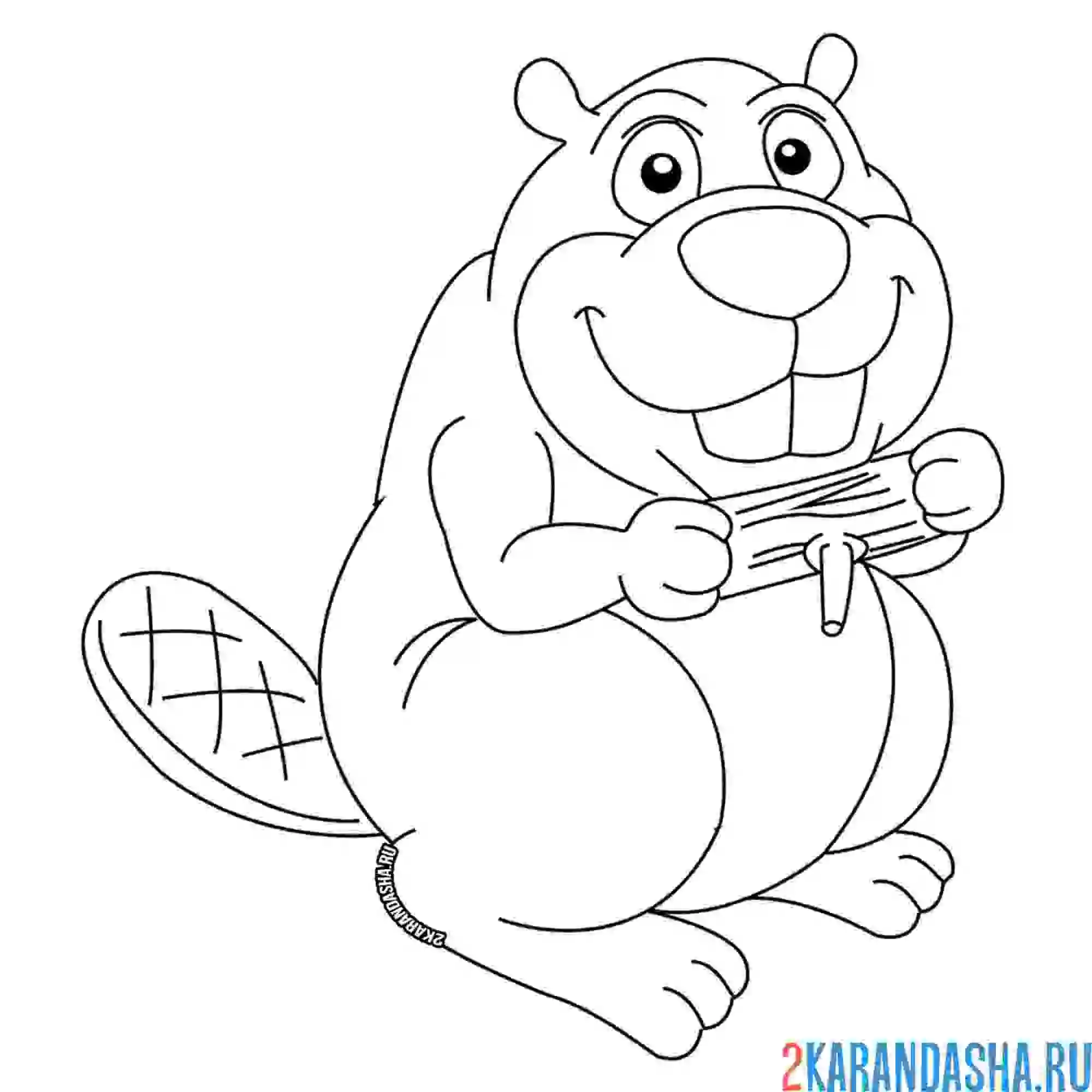 Раскраска бобер с веткой в руках