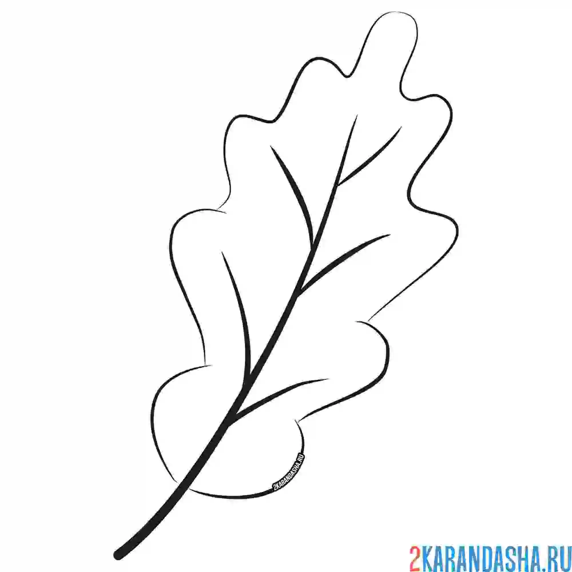 Раскраска осенний дубовый лист желтый