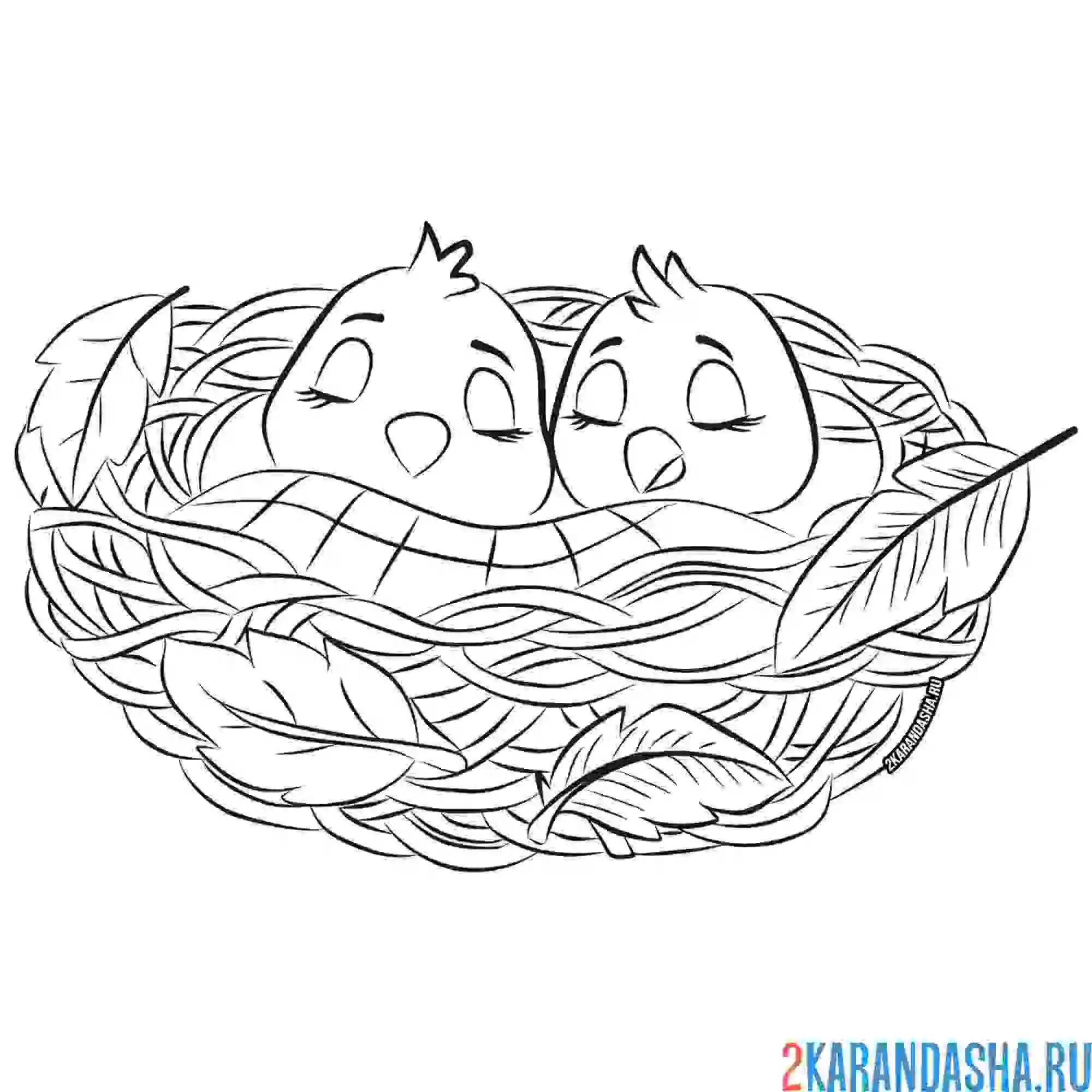 Раскраска птенцы осень