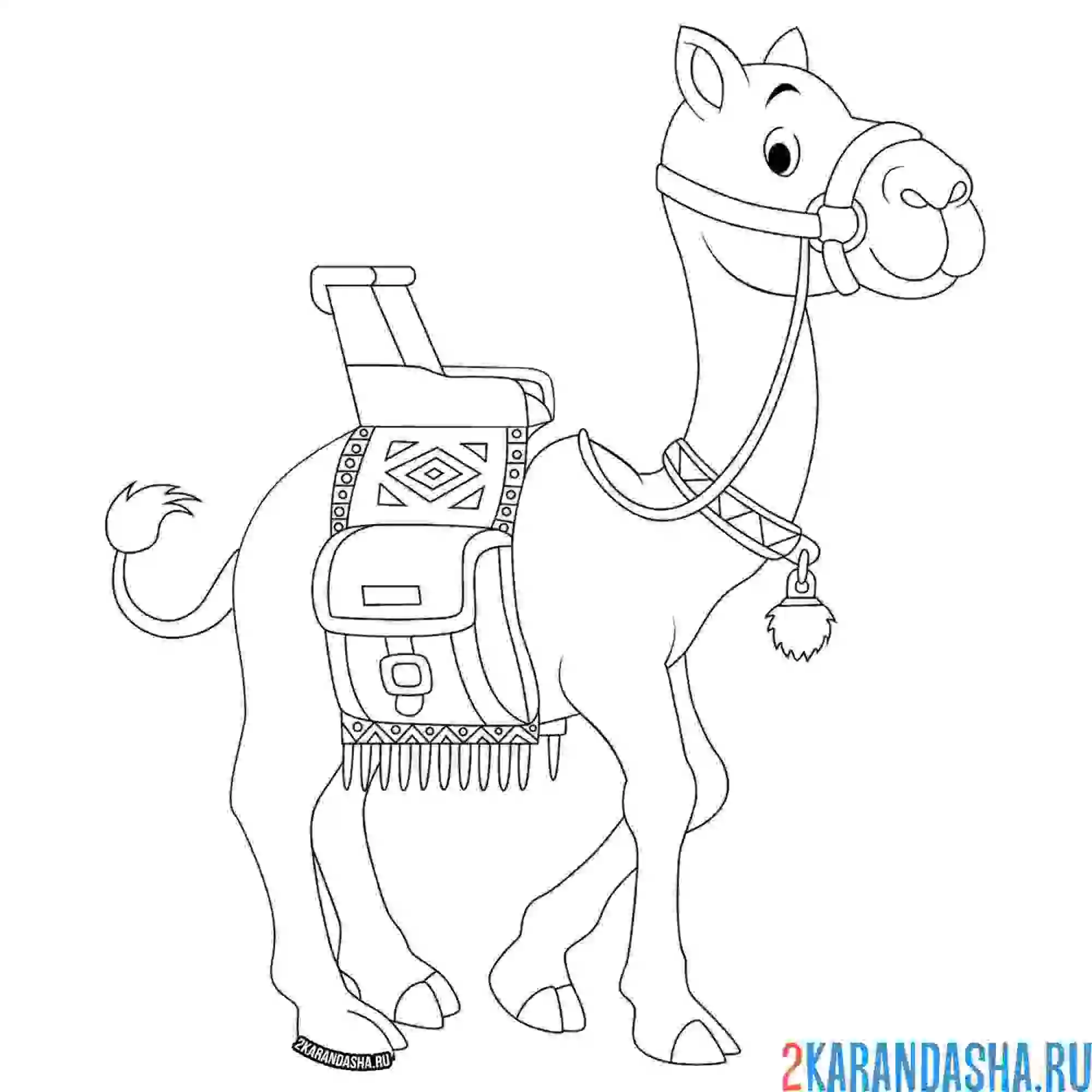 Раскраска верблюд с накидкой