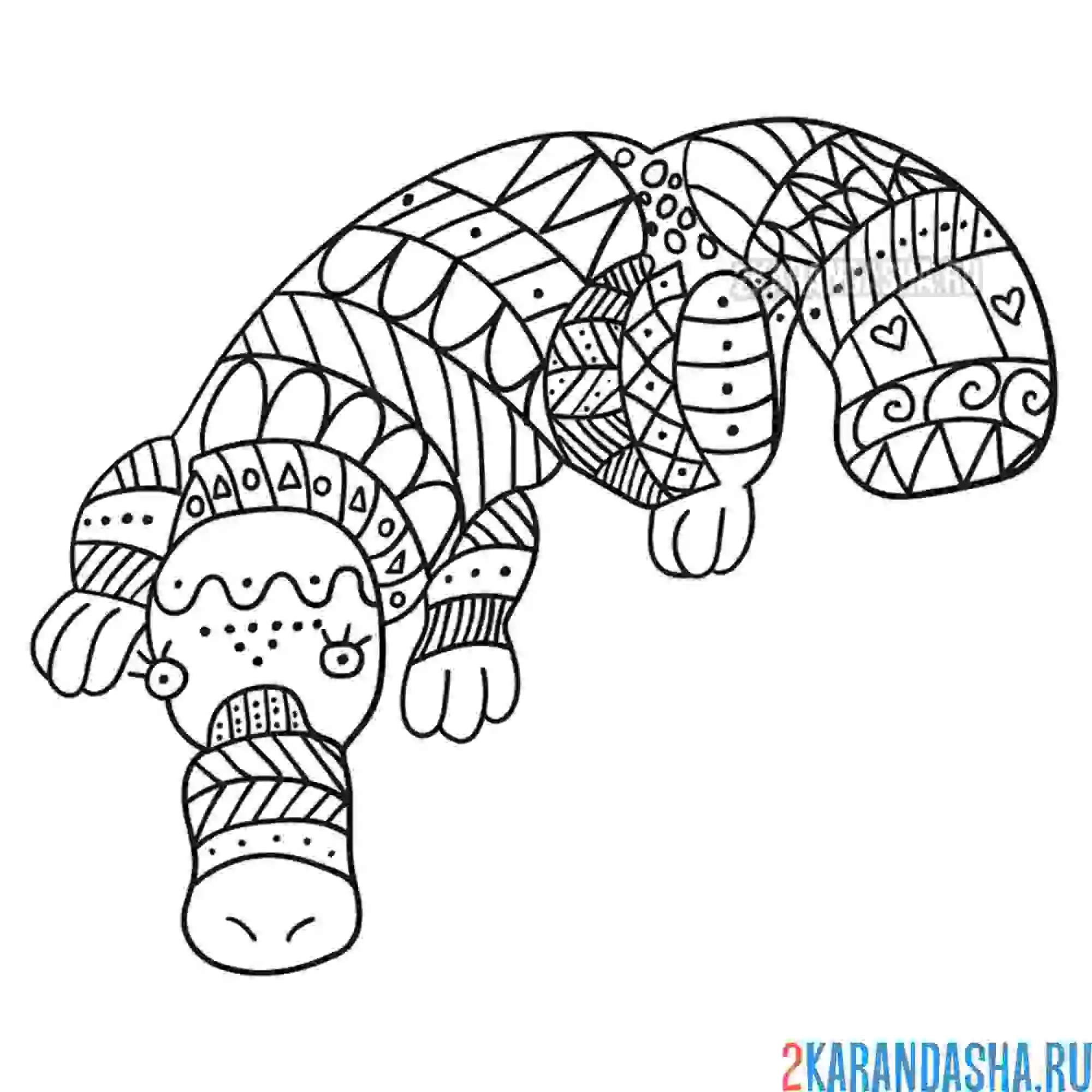 Раскраска антистресс утконос