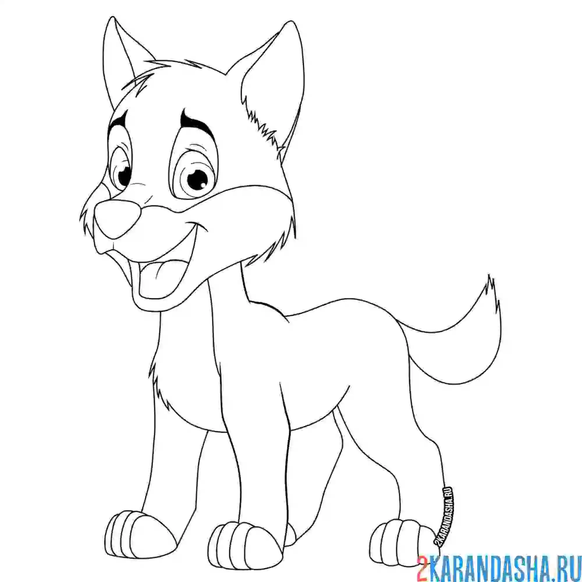 Раскраска серый волчок