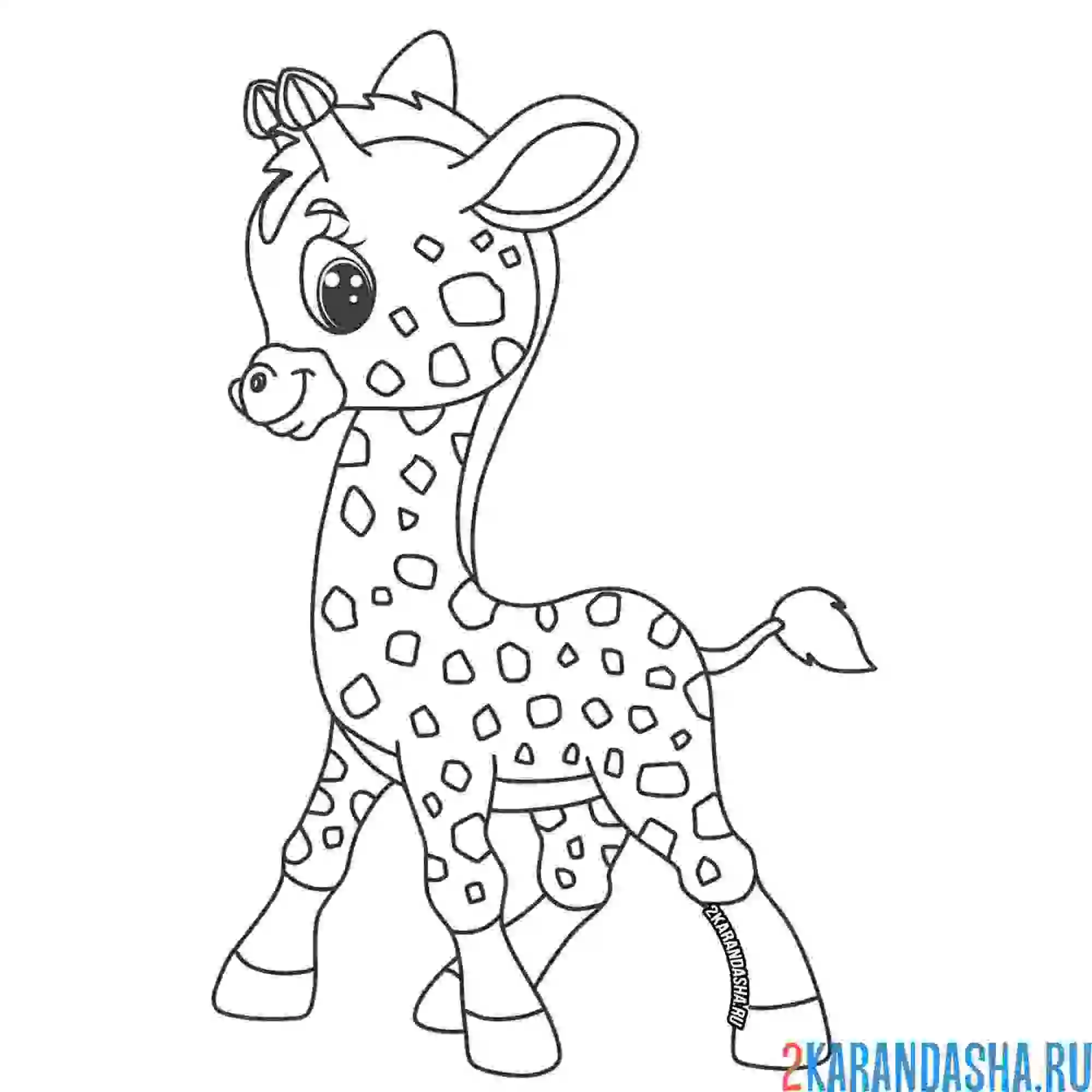 Раскраска жираф мило улыбается