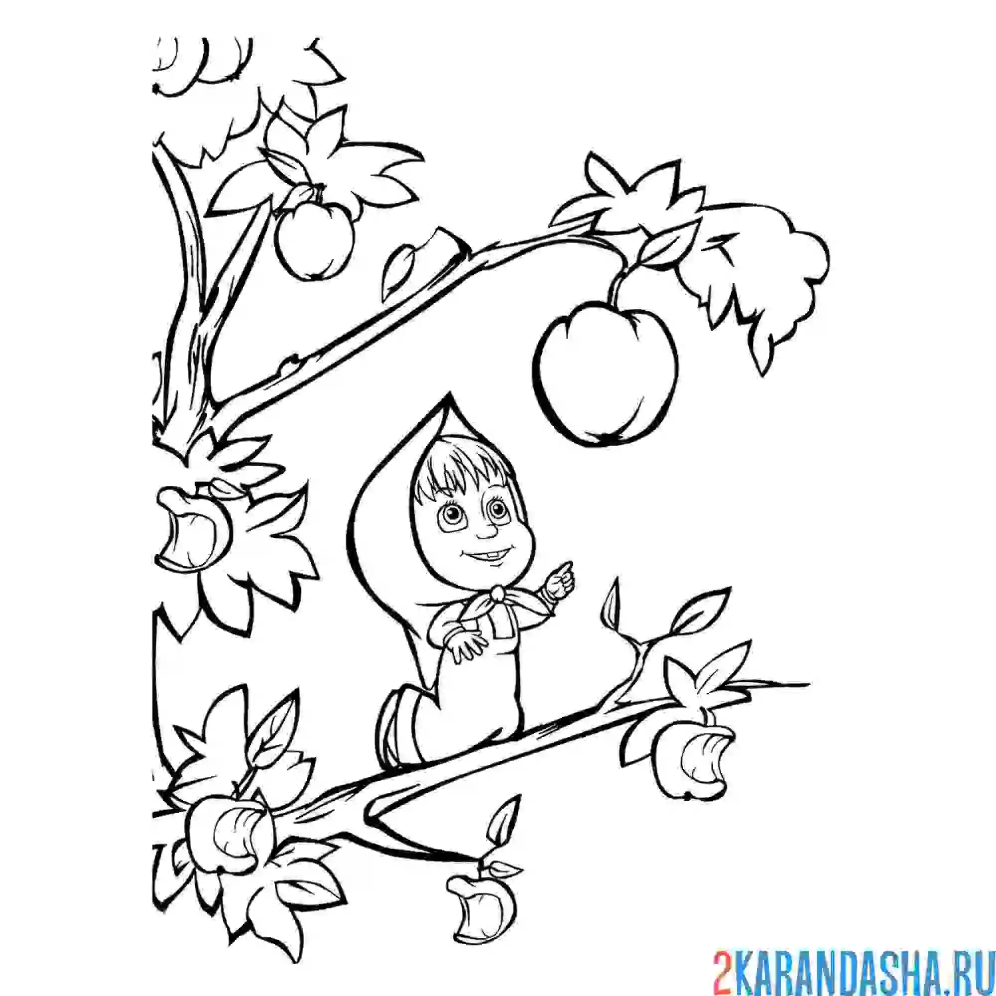 Раскраска маша и яблочки