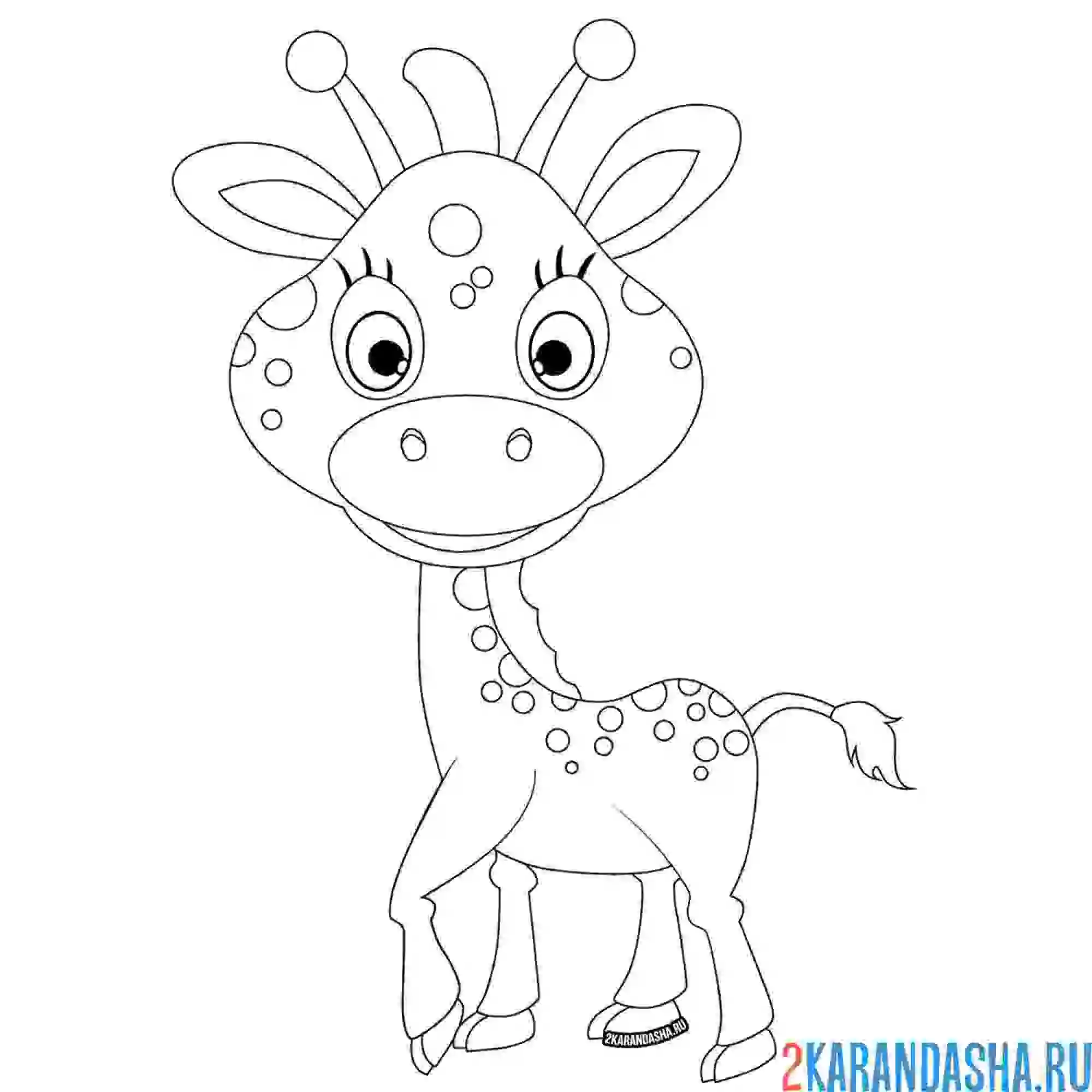 Раскраска жирафик на прогулке