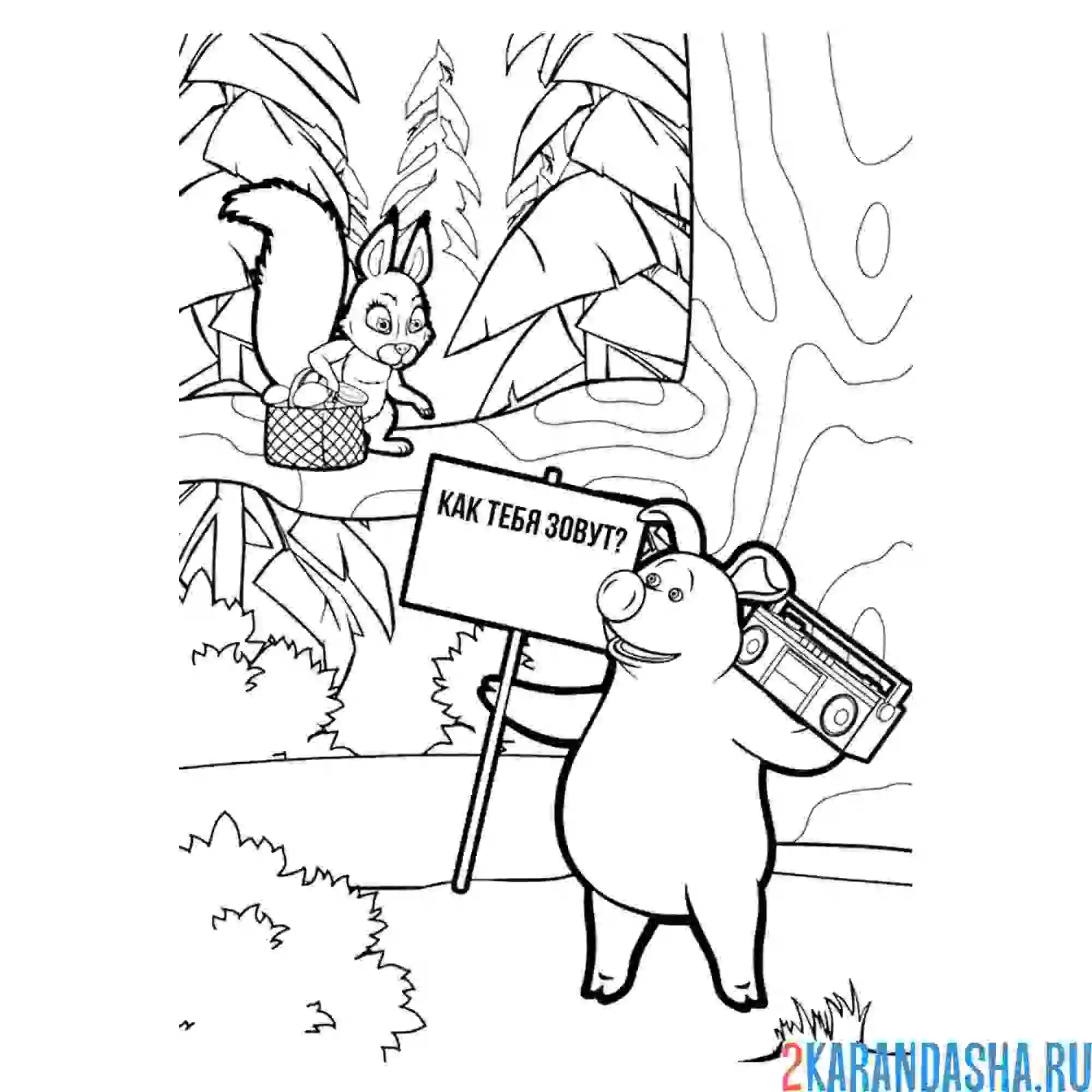 Раскраска белочка и свинка