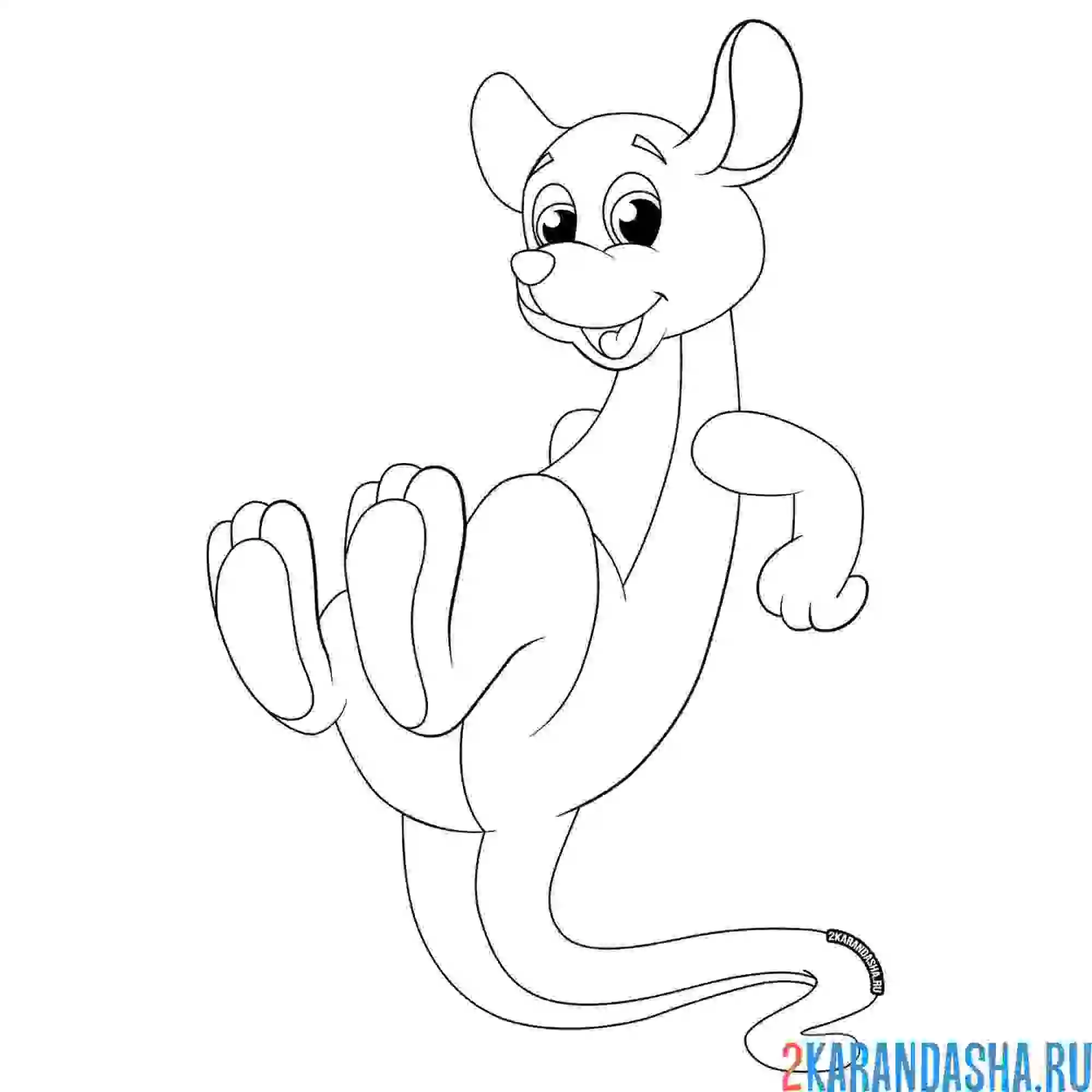 Раскраска кенгуру стоит на хвосте