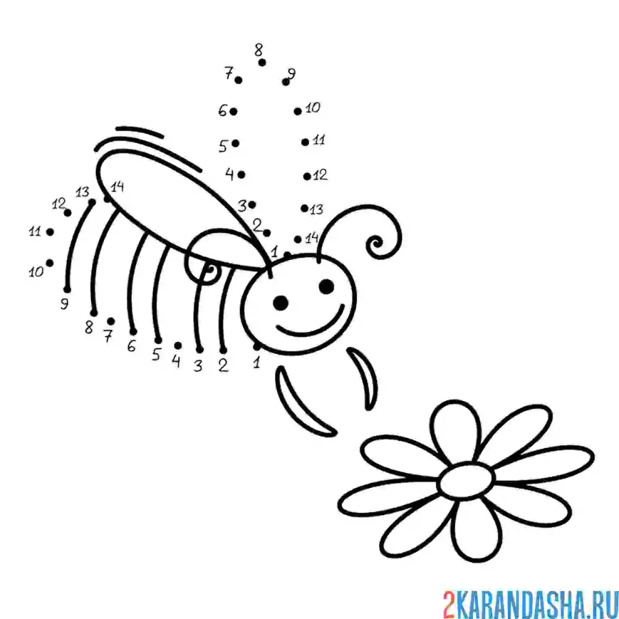 Раскраска пчелка с цветочком