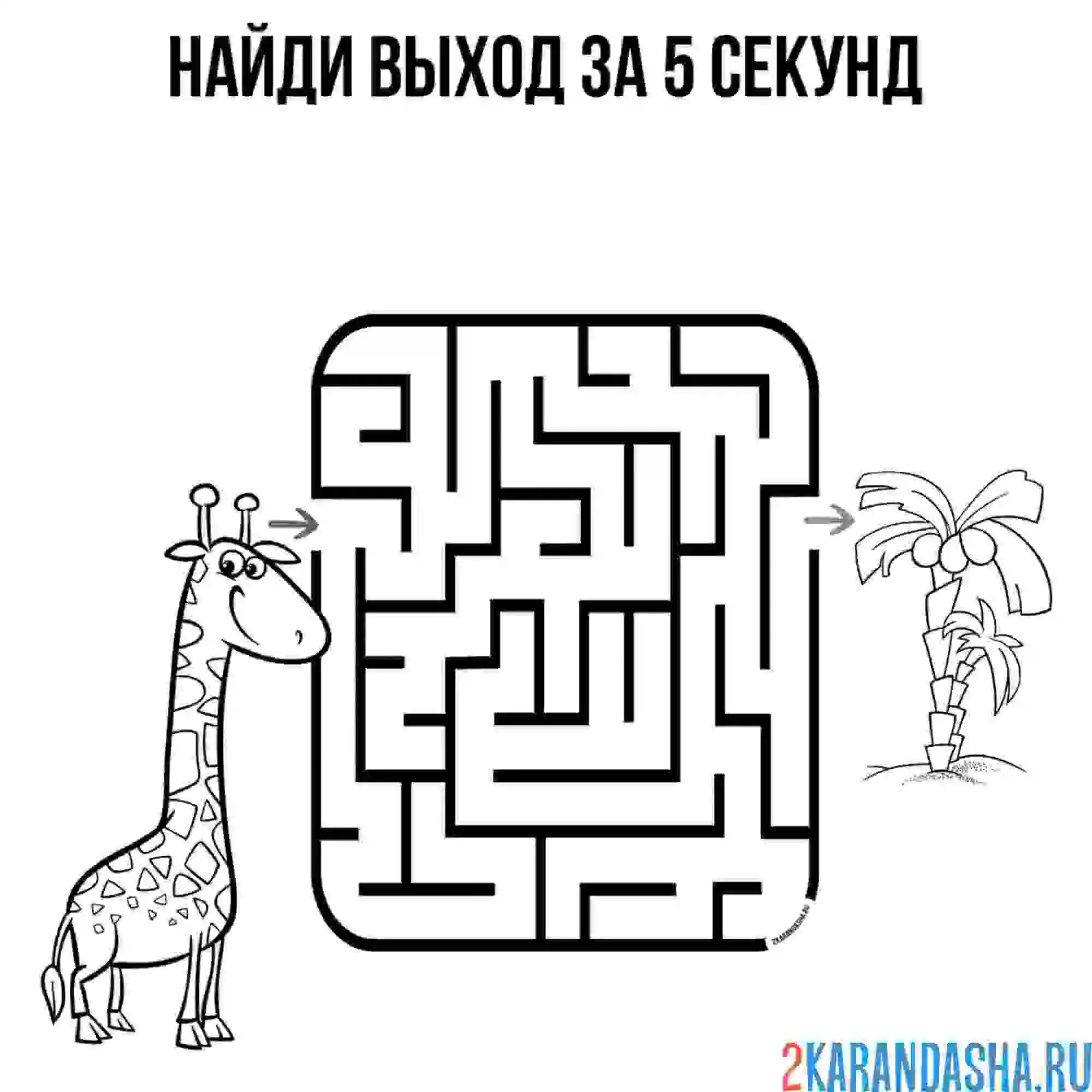 Раскраска лабиринт для детей