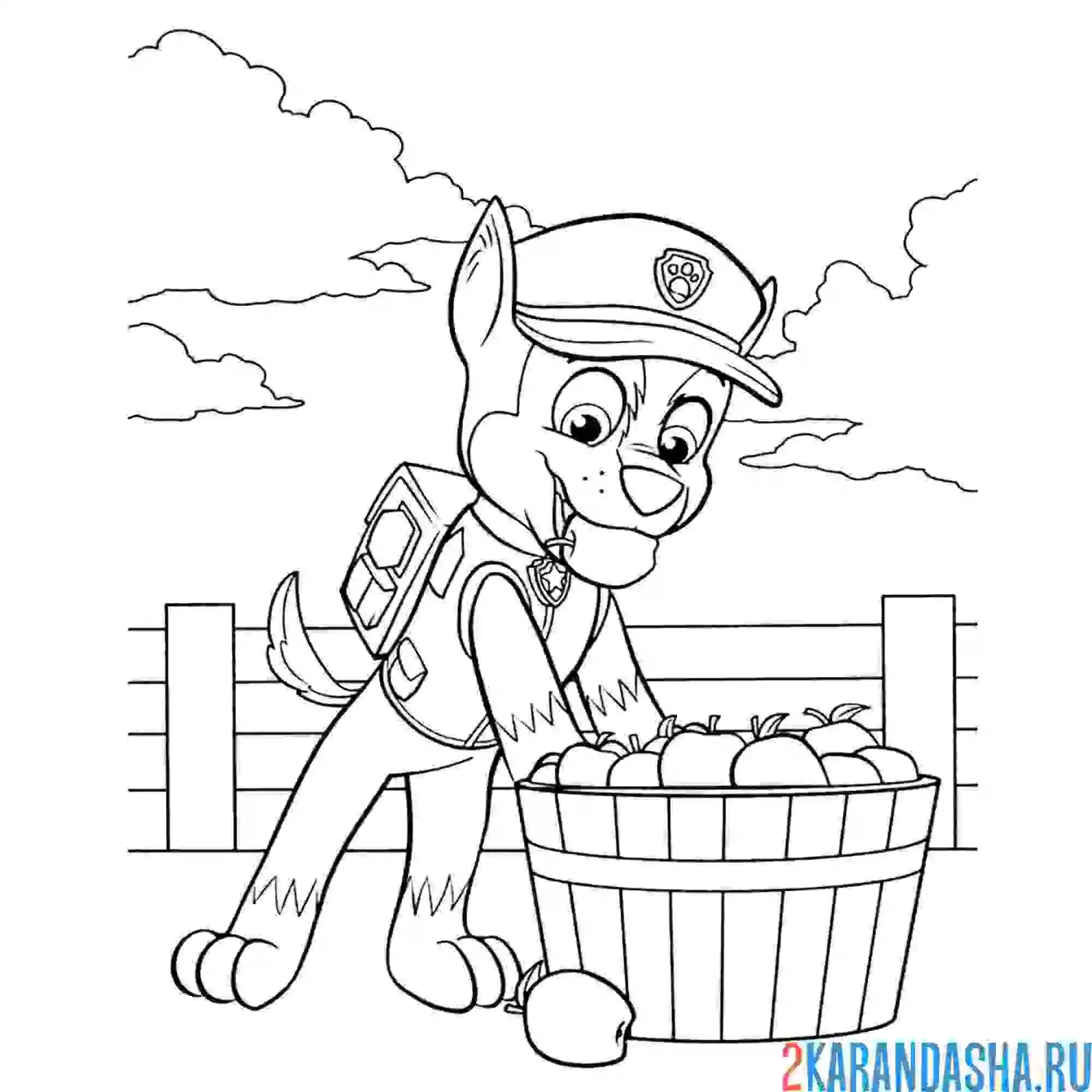 Раскраска гонщик и яблоки