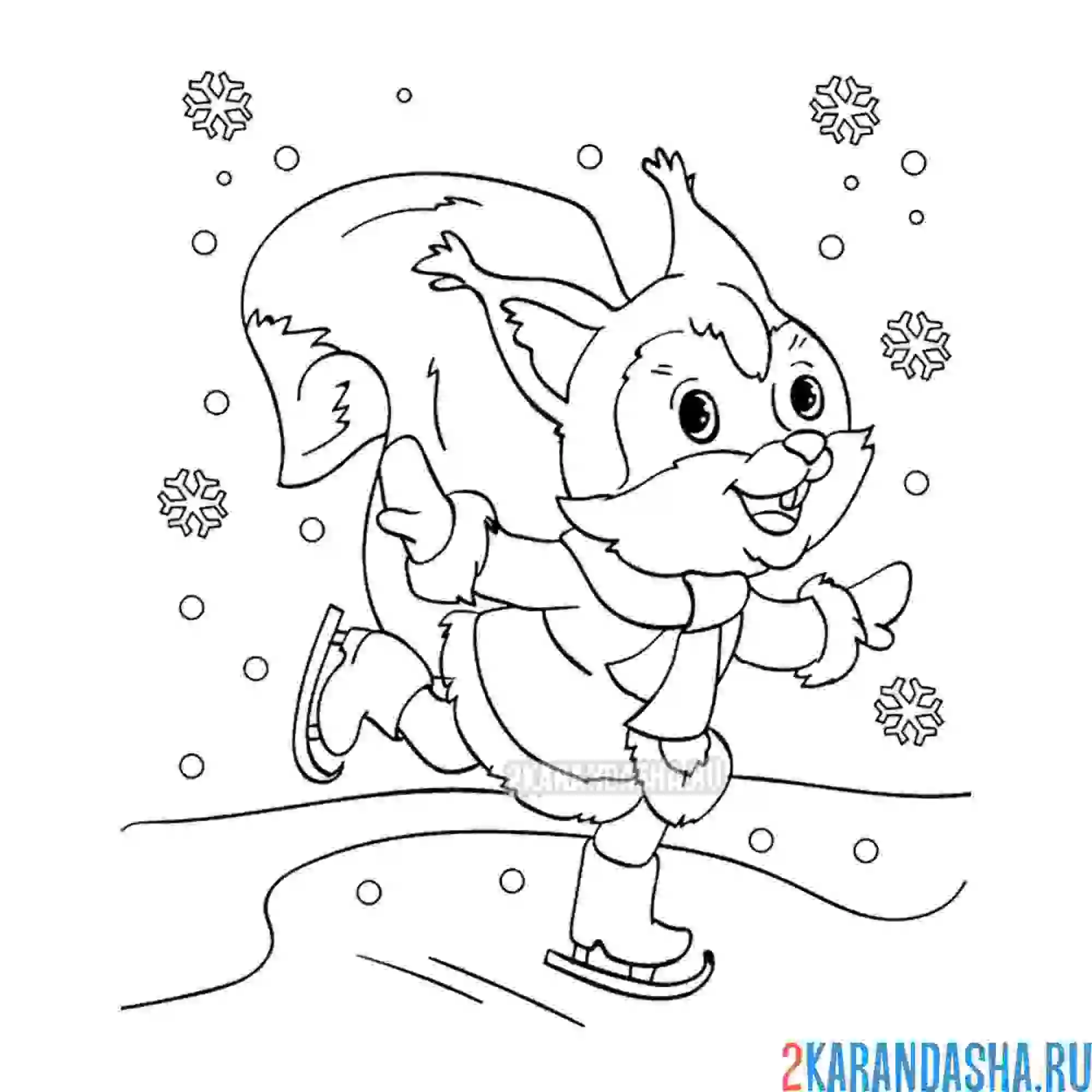Раскраска зимние белочка на коньках