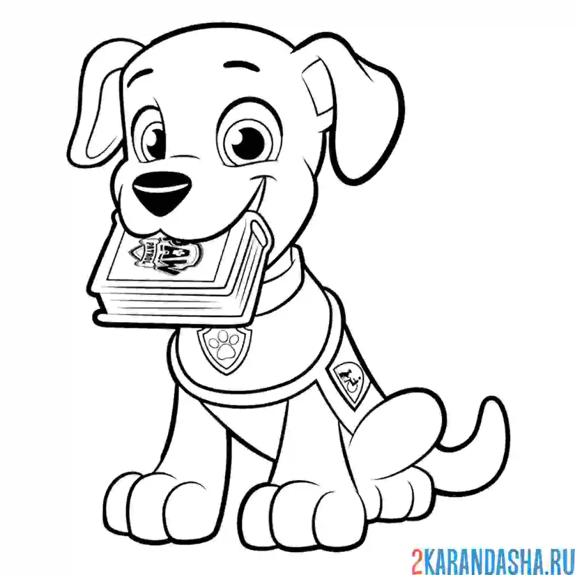 Раскраска щенок ассистент