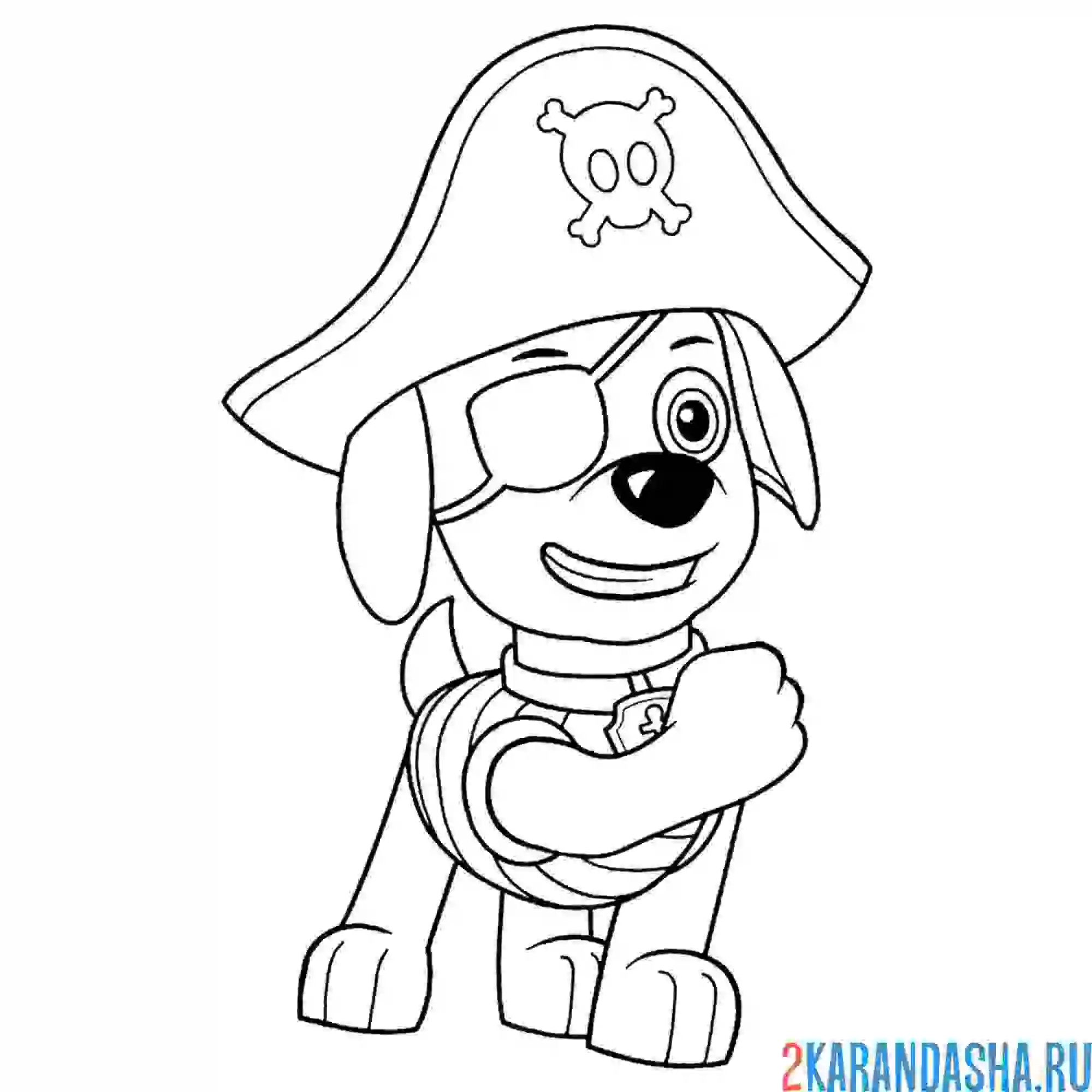 Раскраска зума пират