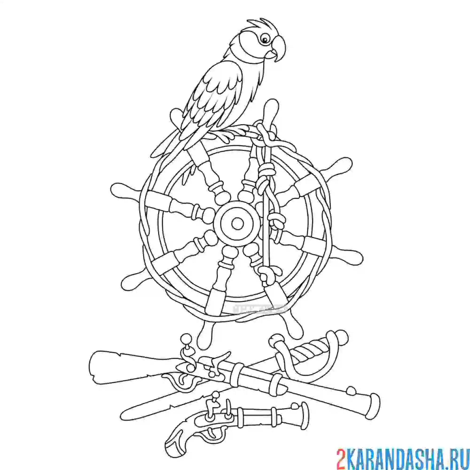 Раскраска попугай пирата на руле