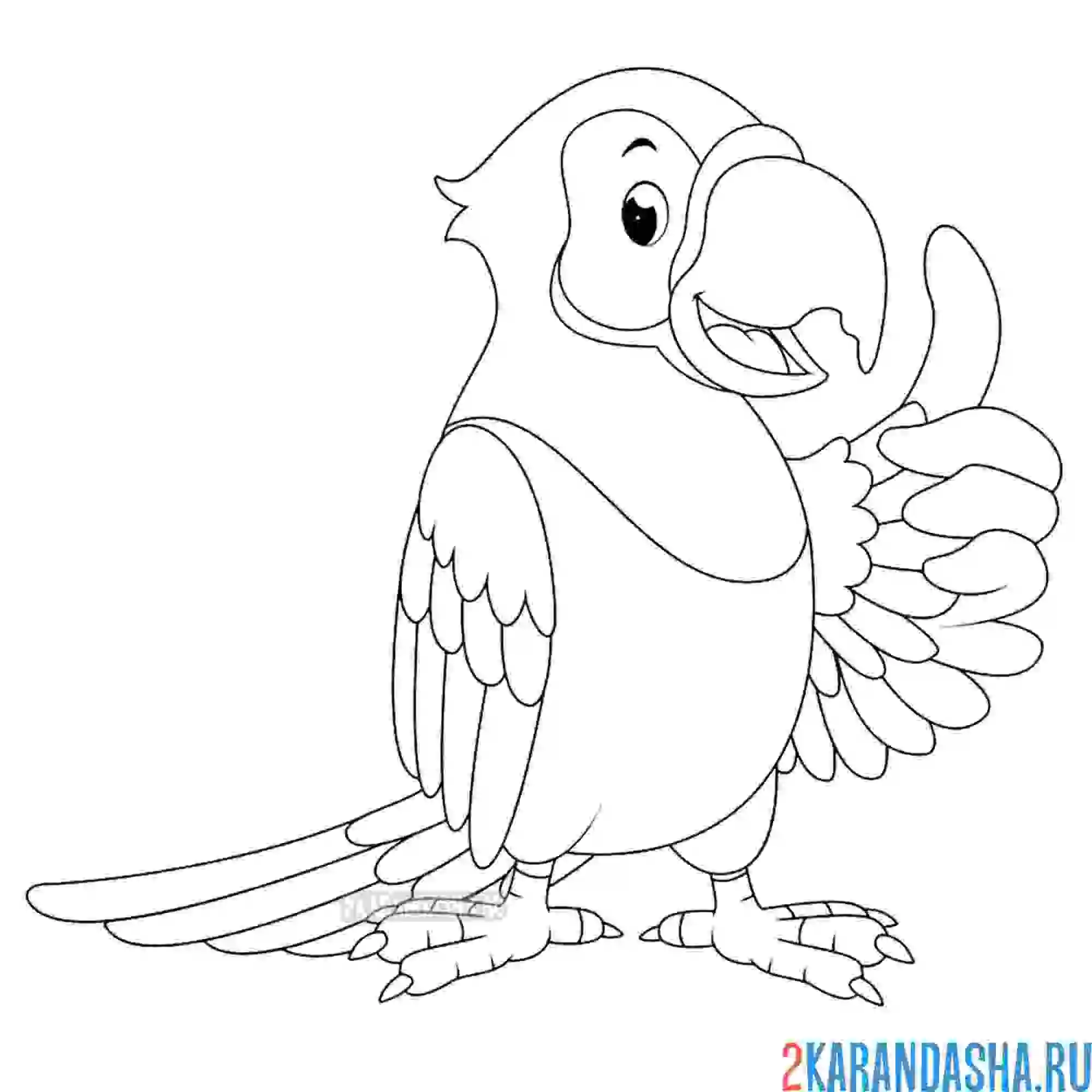 Раскраска попугай ара для детей