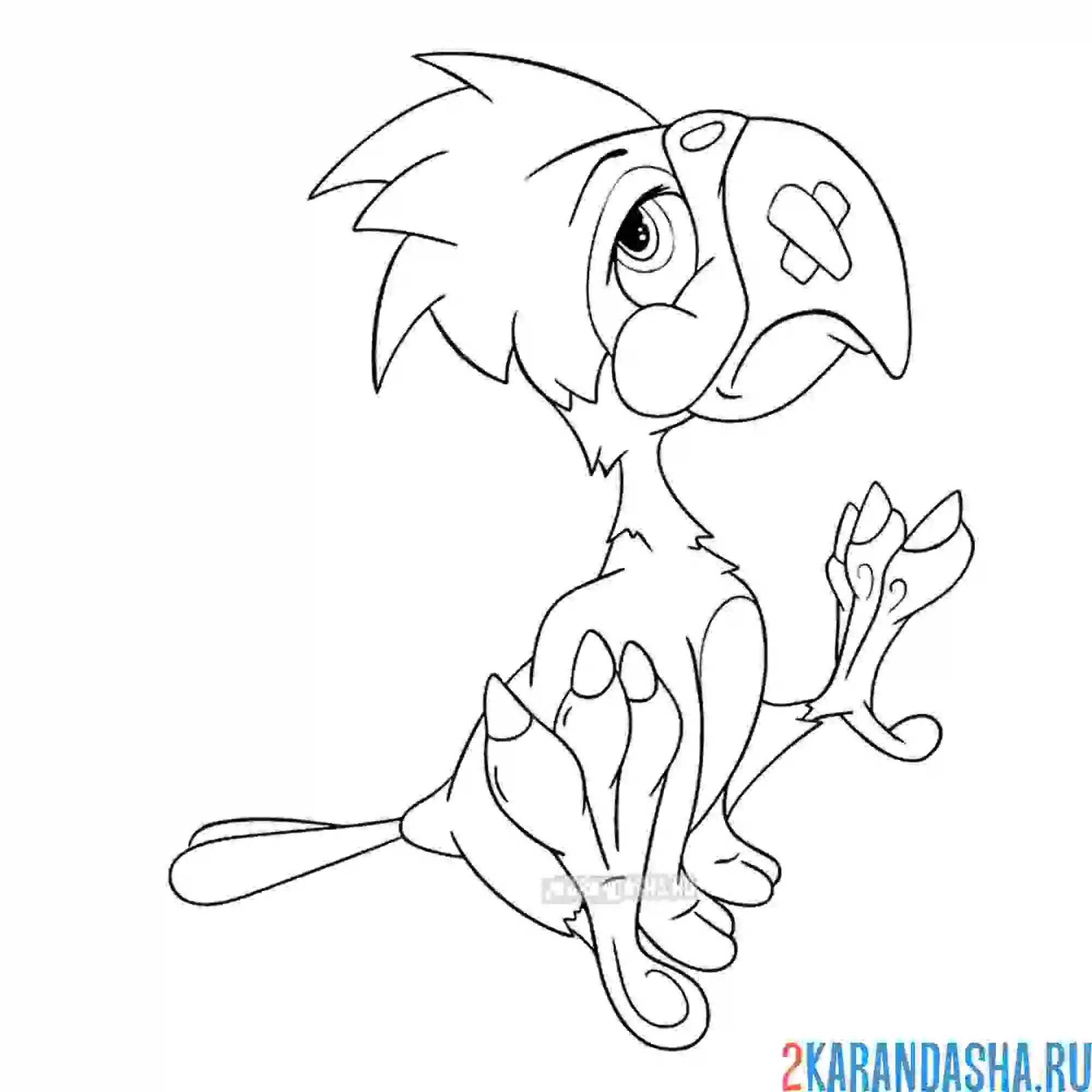 Раскраска грустный попугай