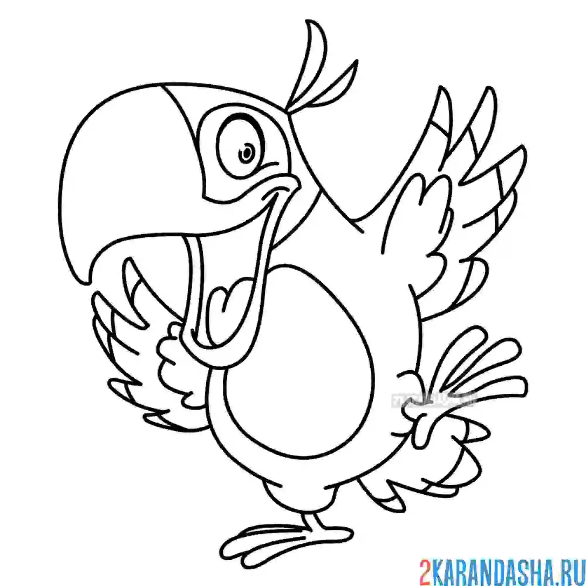 Раскраска веселый зеленый попугай
