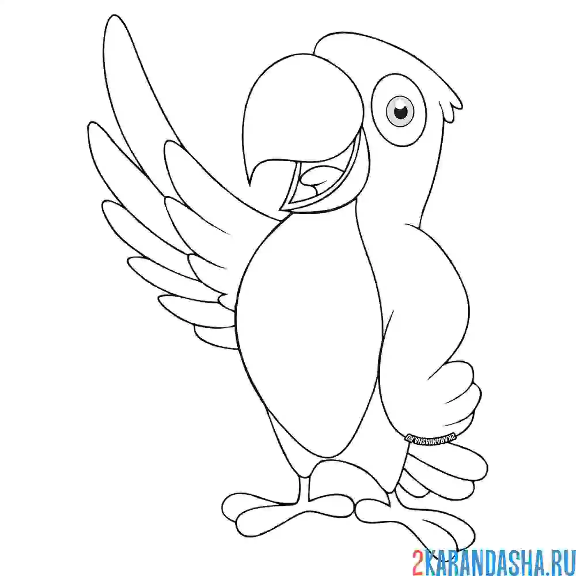 Раскраска большой ара попугай