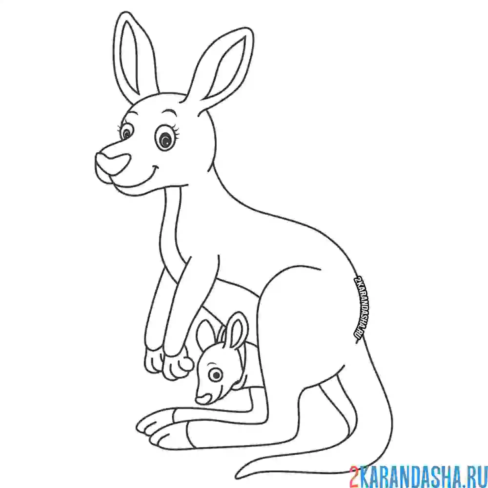 Раскраска мама кенгуру с кенгуренком