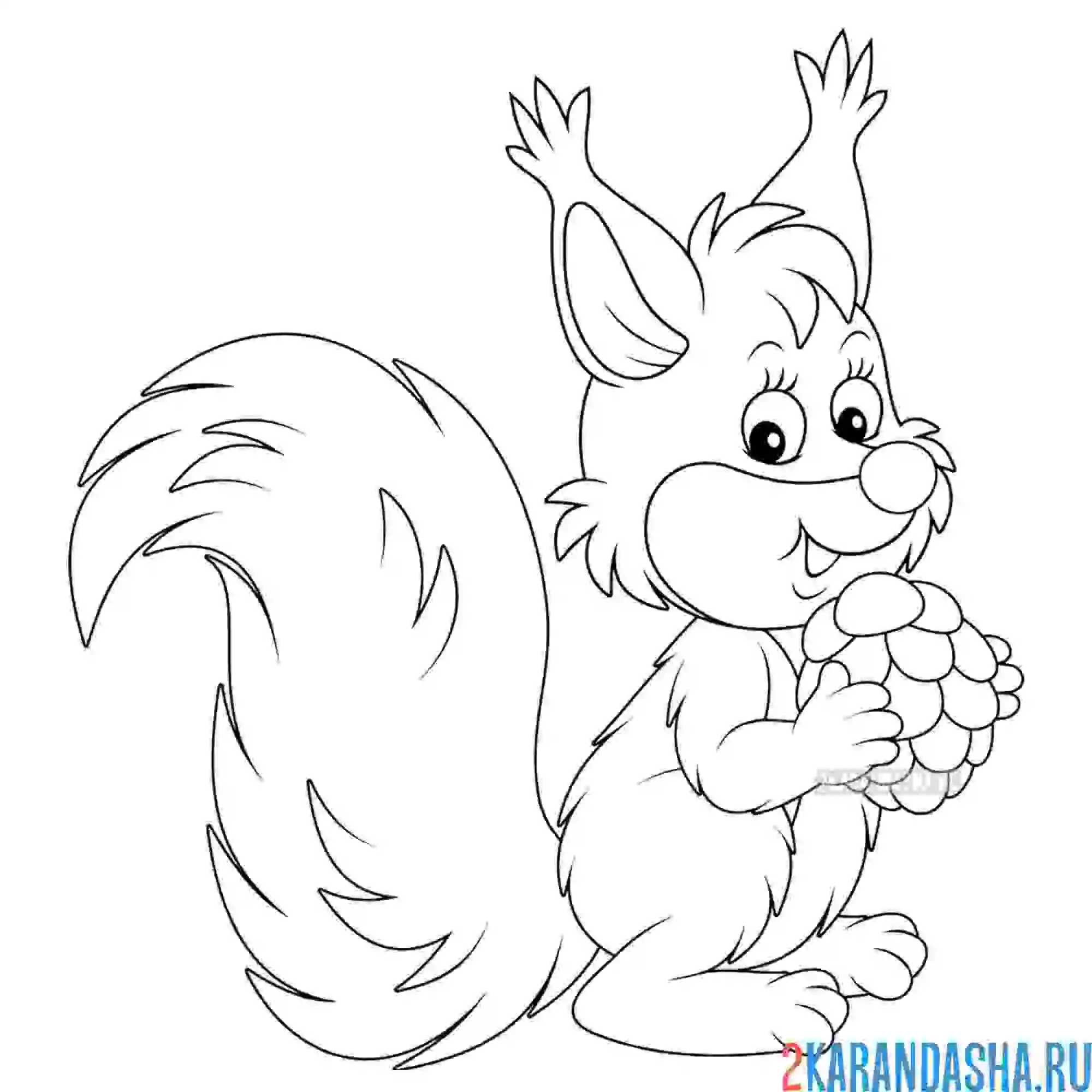 Раскраска белочка с орешком