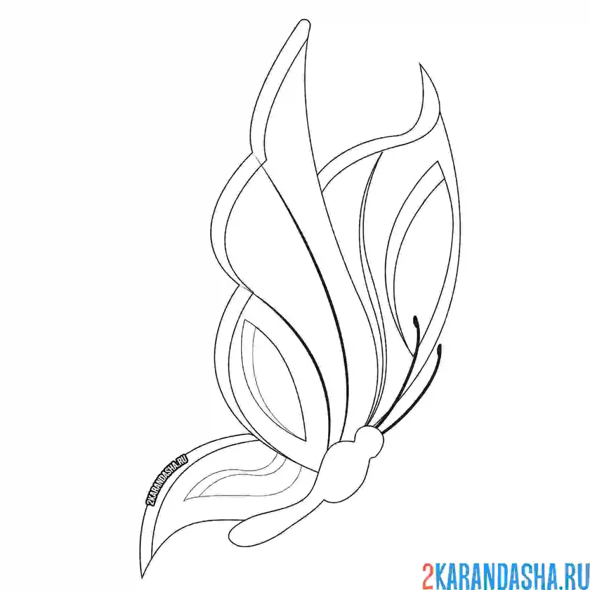 Раскраска простая бабочка