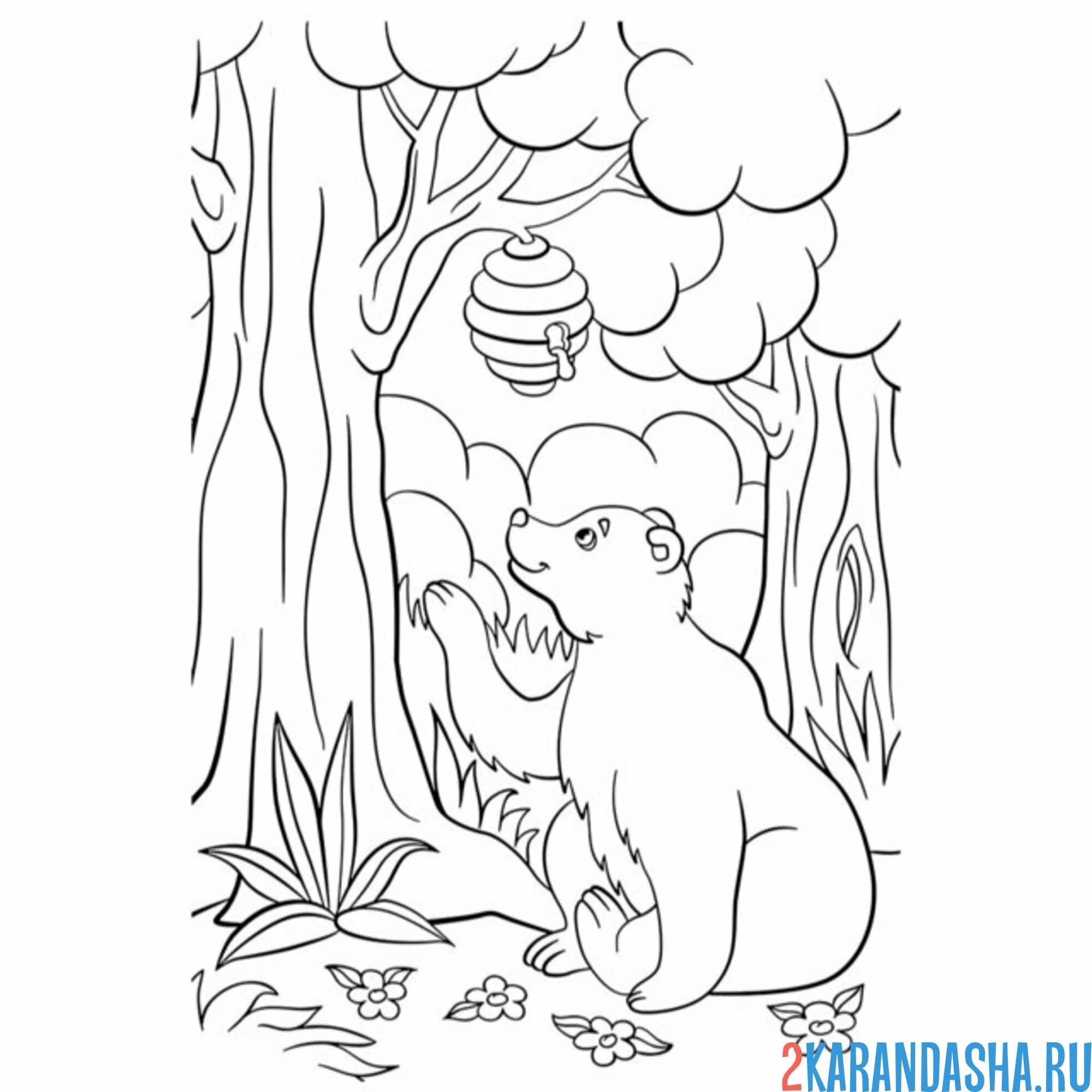 Раскраска улей и медведь