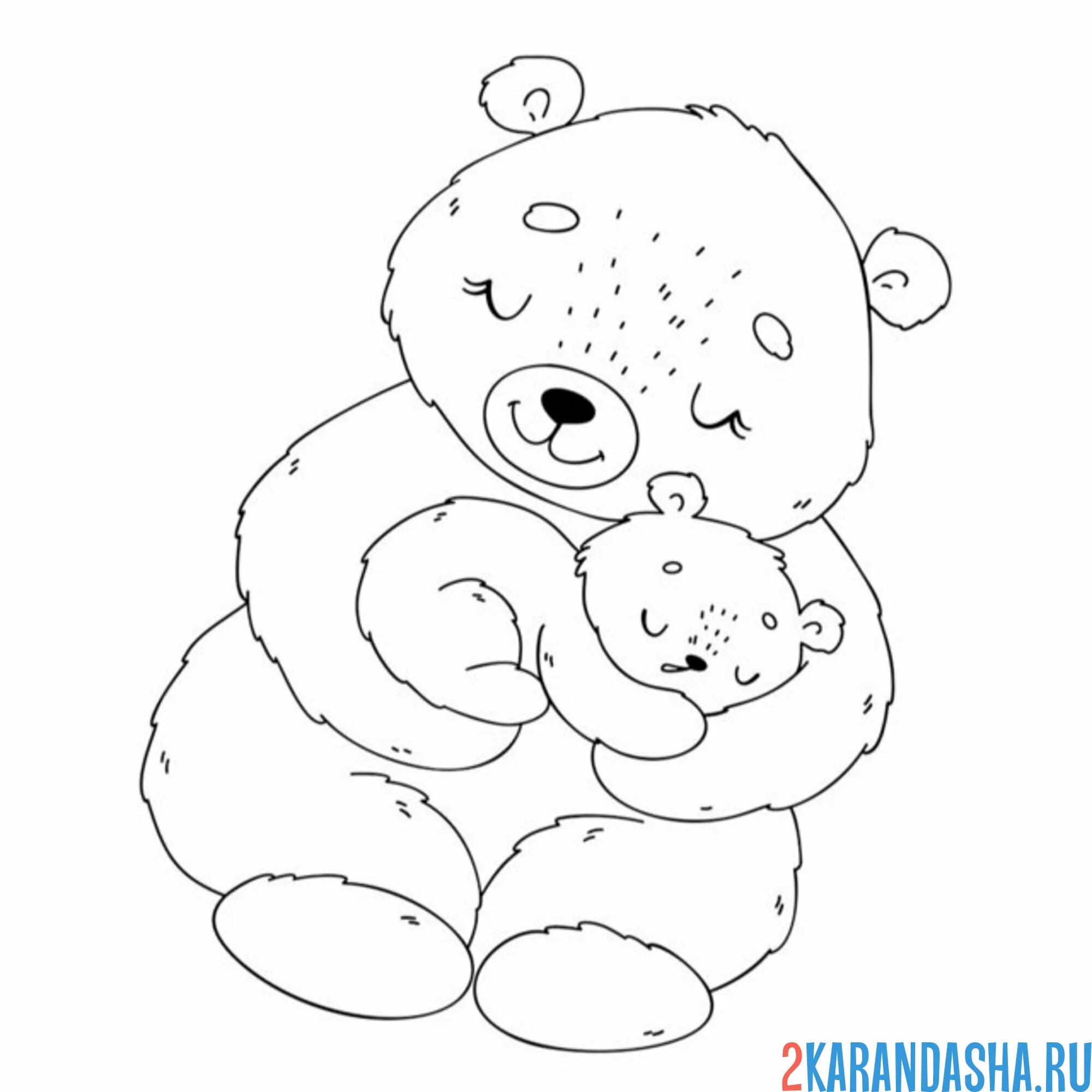 Раскраска мама медведь с медвежонком