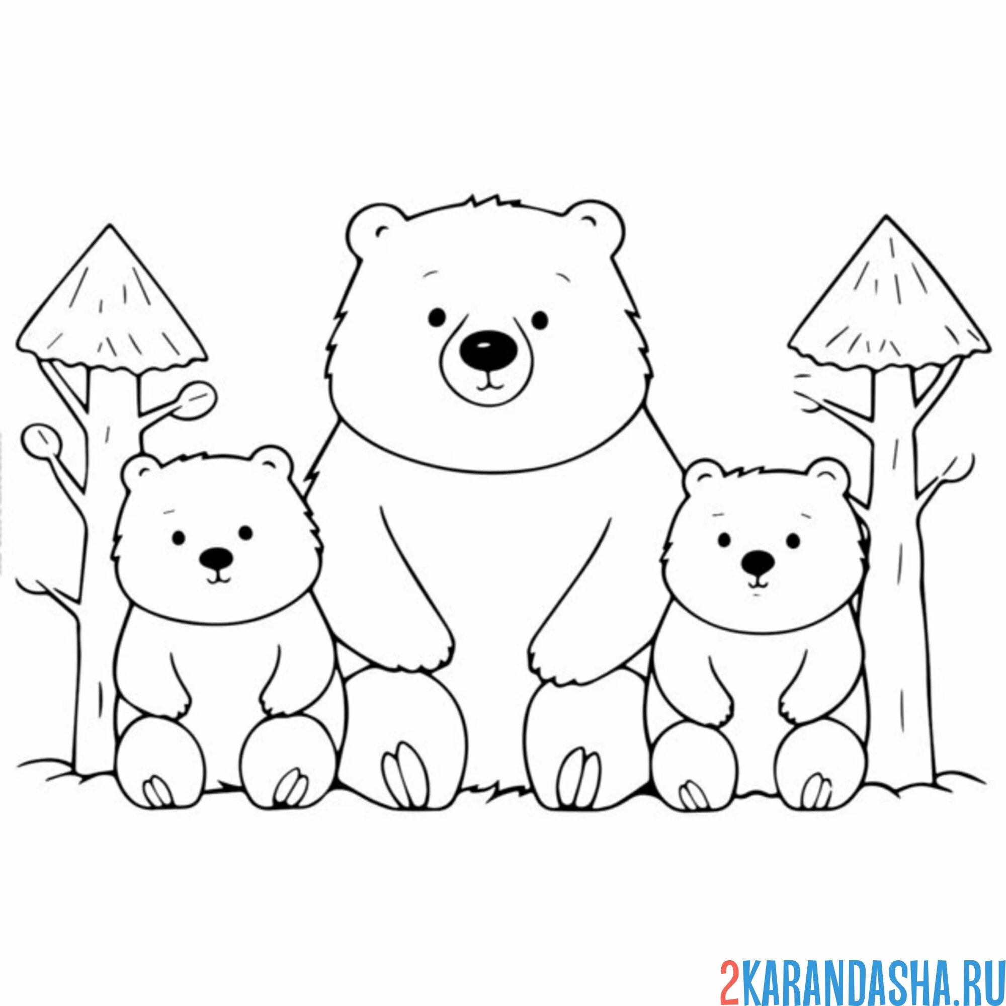 Раскраска три медведя