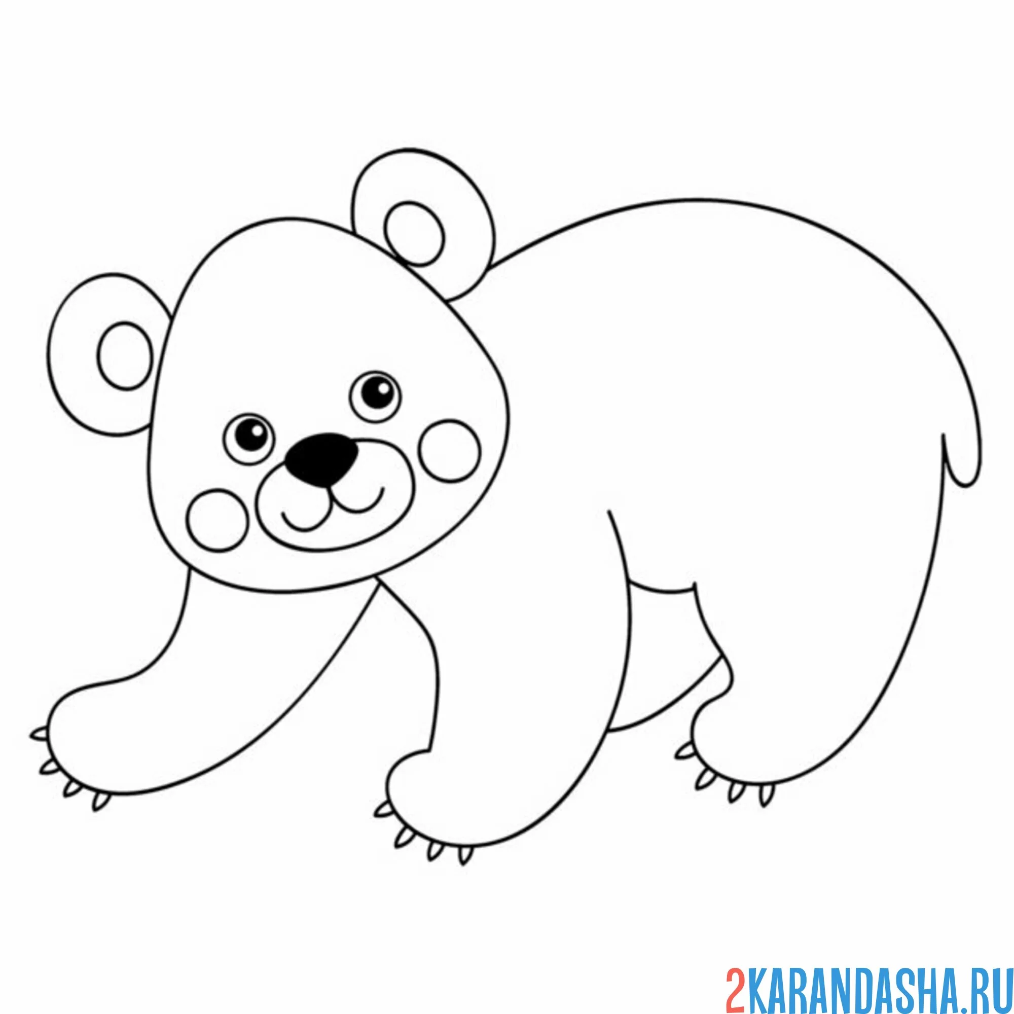 Раскраска ушастый мишка