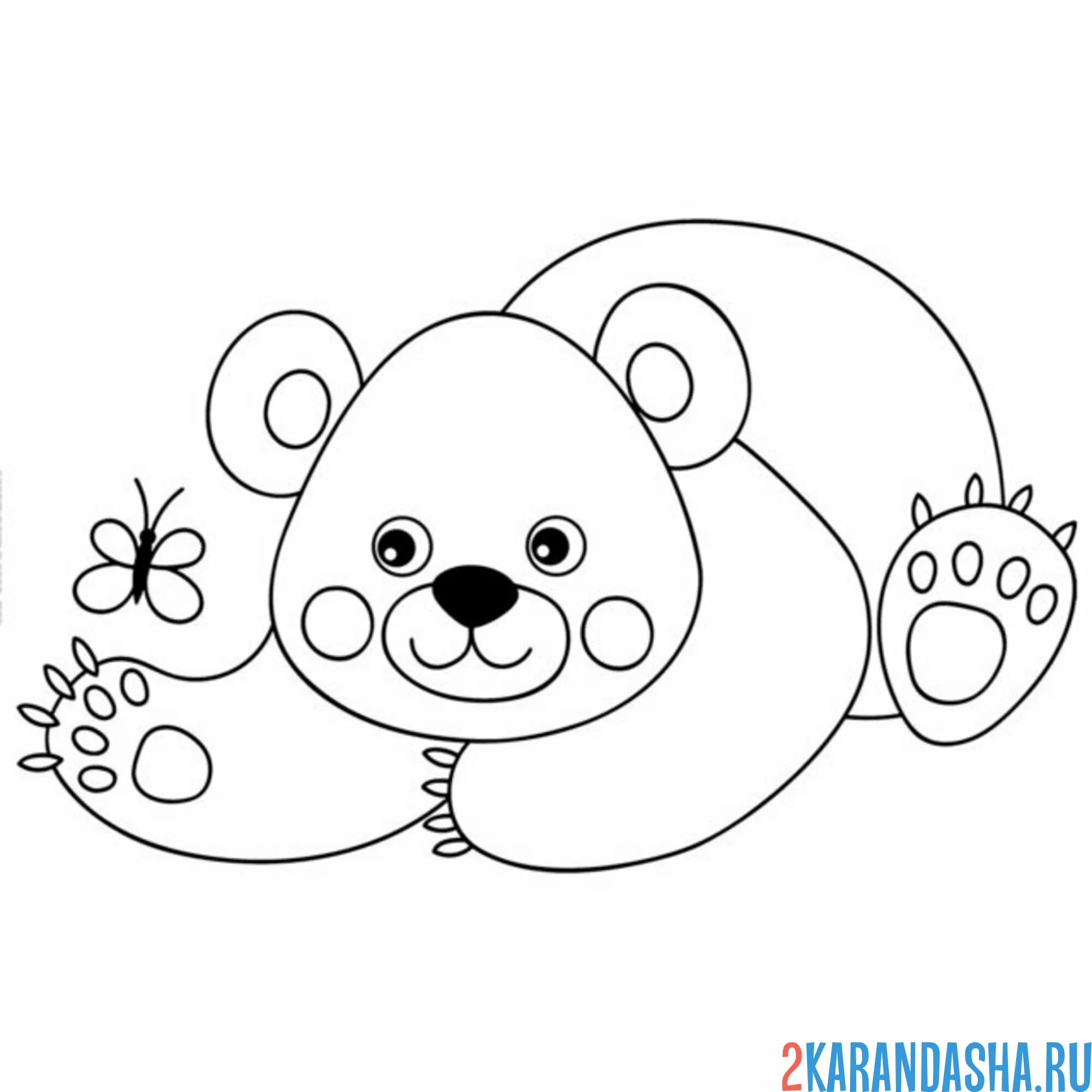 Раскраска мишка и бабочка