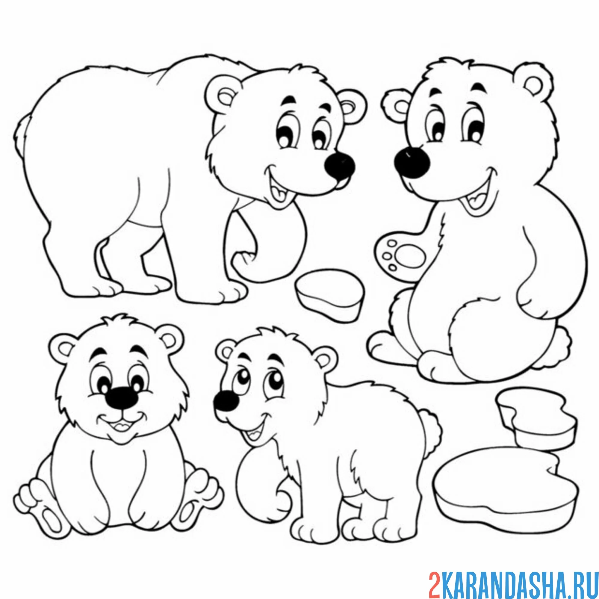 Раскраска семейство медведей
