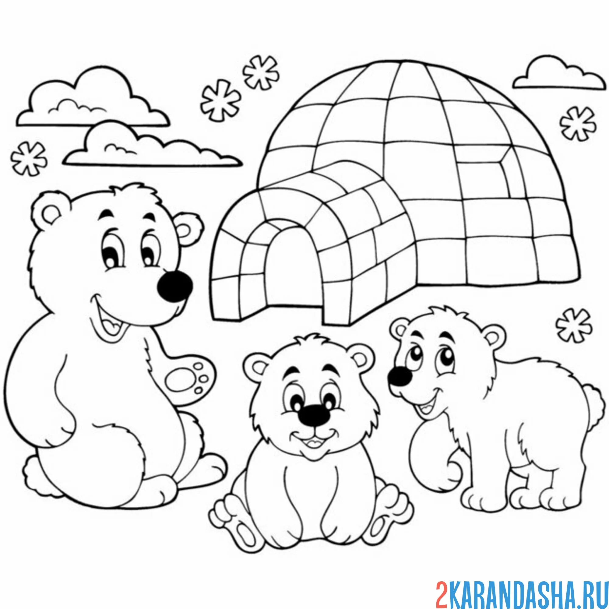 Раскраска арктические белые медведи