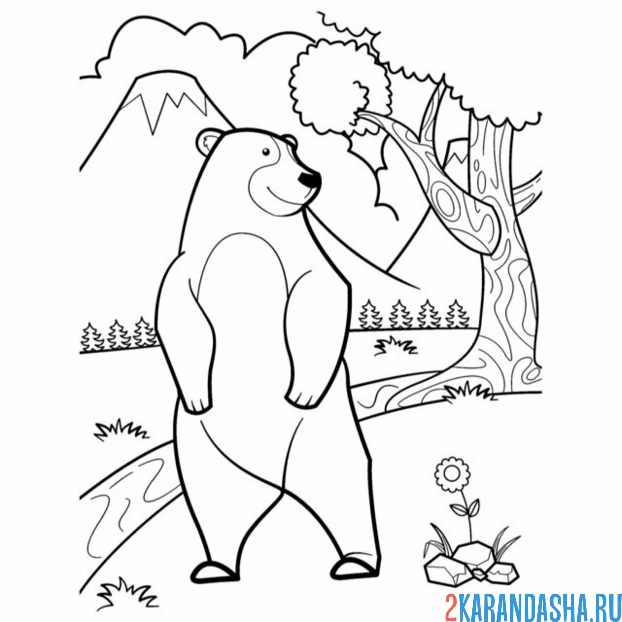 Раскраска большой настоящий медведь