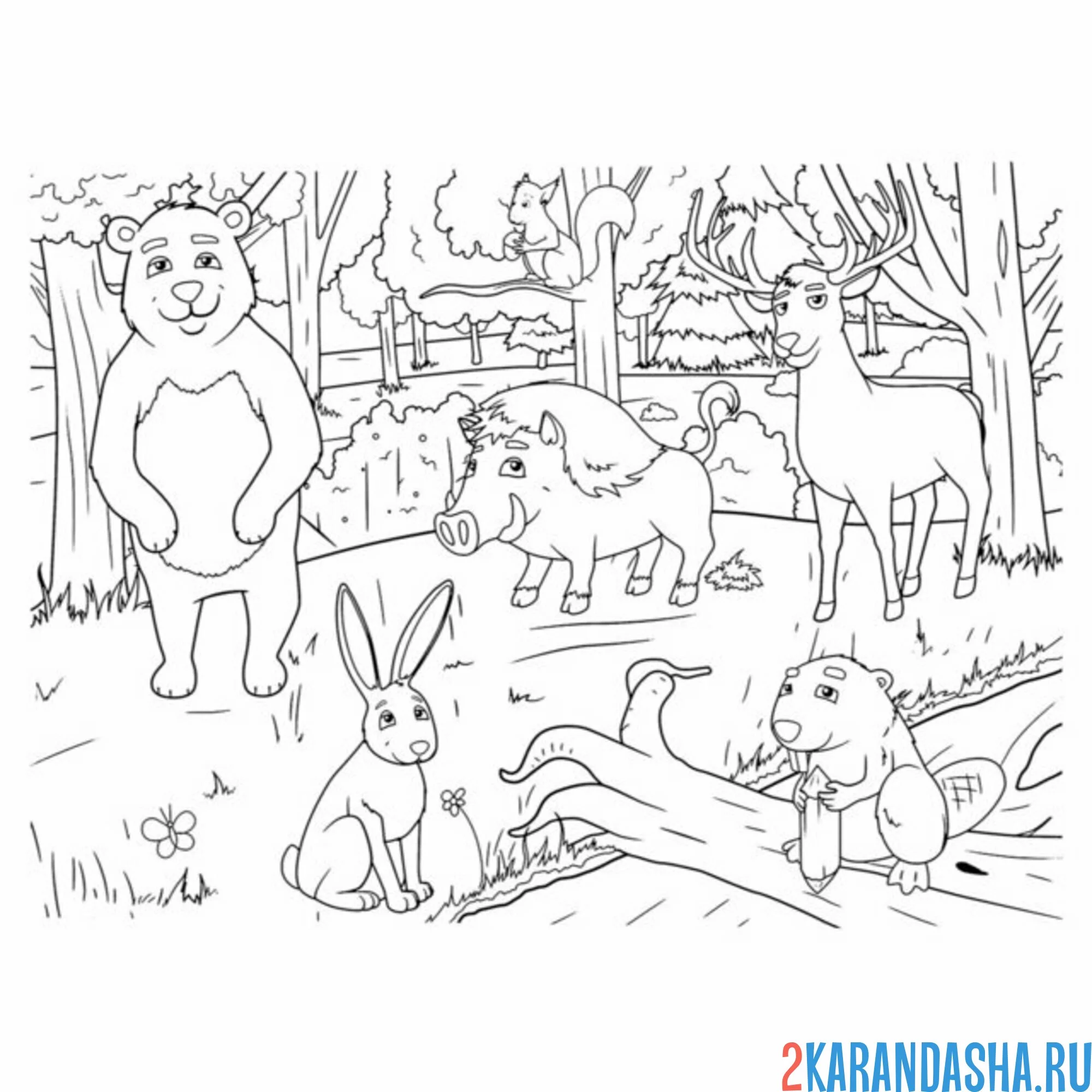 Раскраска животные зоопарк