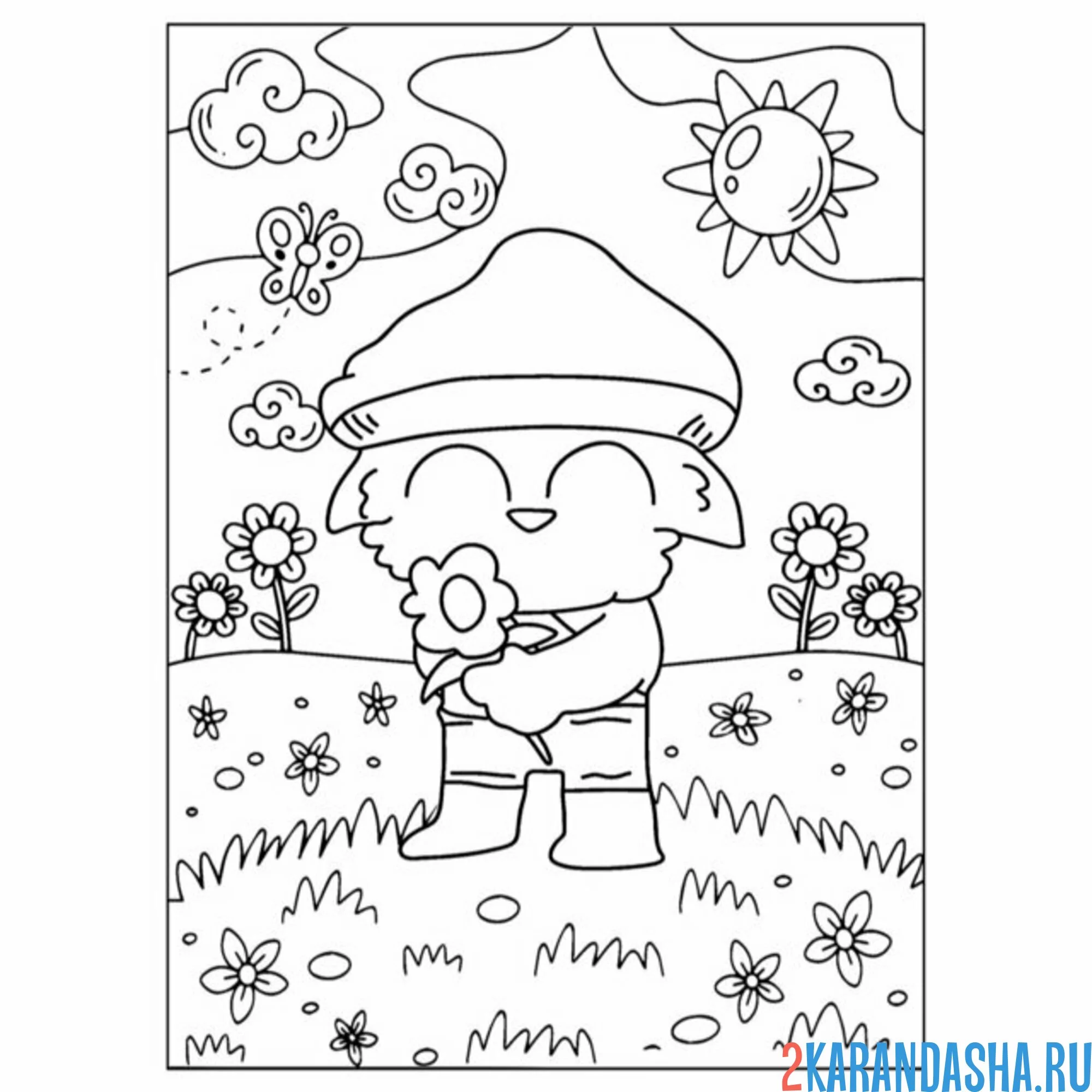 Раскраска шайлушай на поле