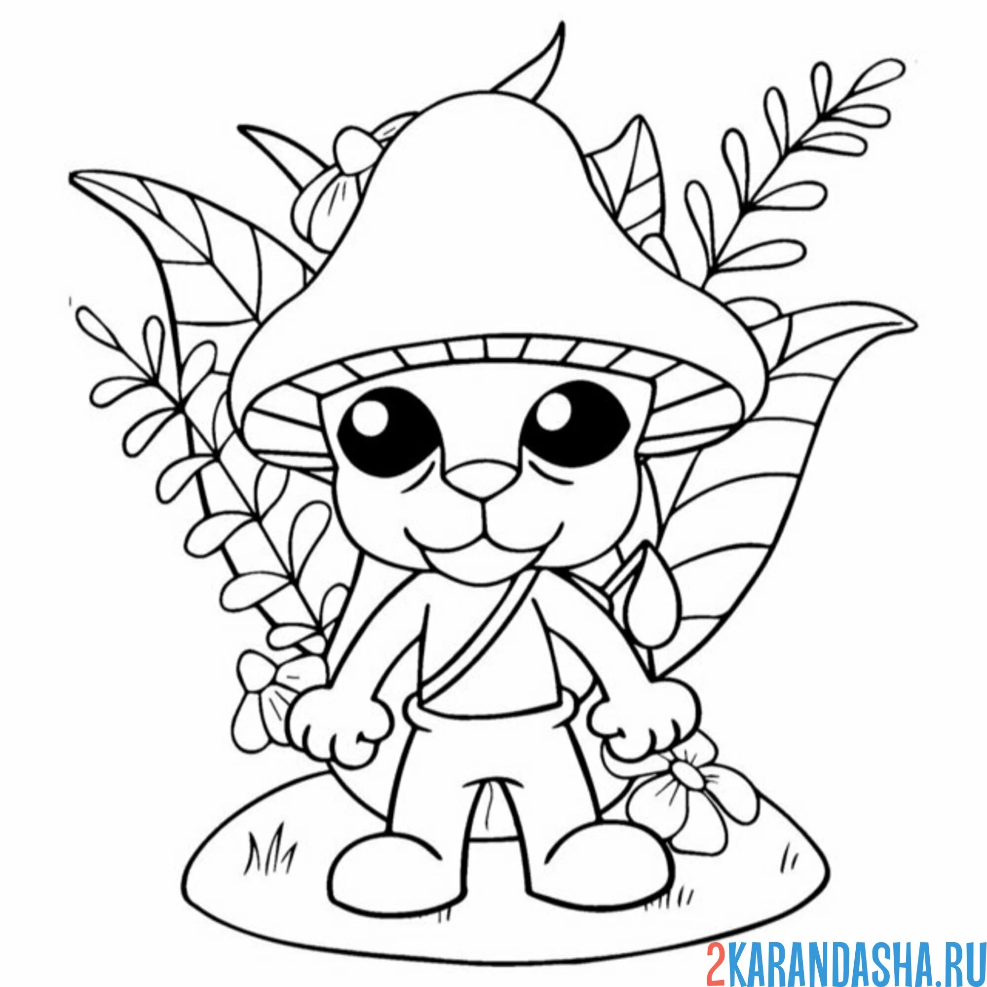 Раскраска шайлушай в цветах