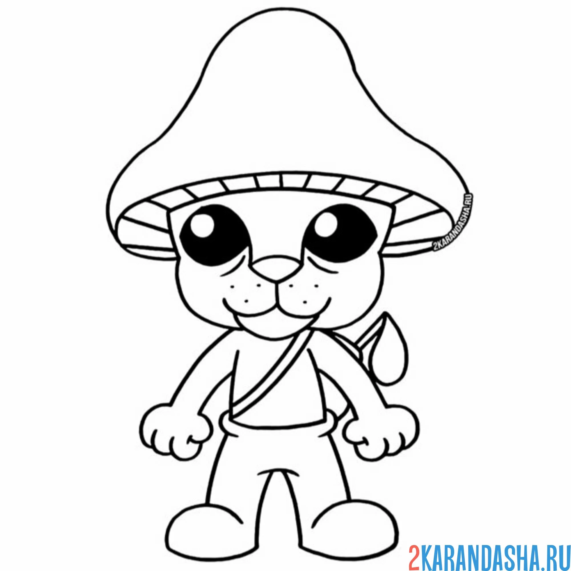 Раскраска шайлушай